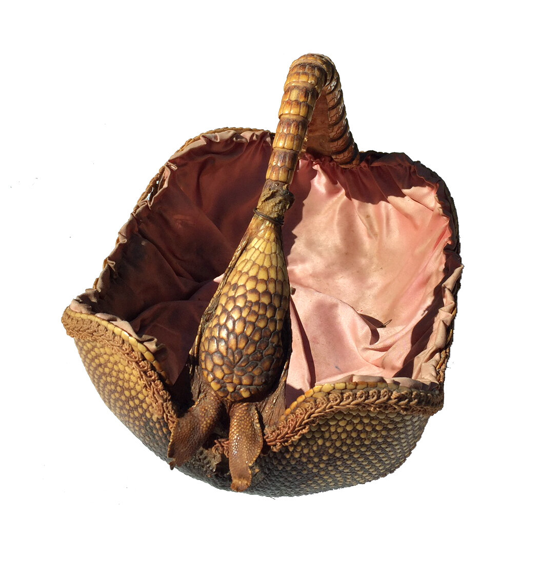 Vintage Armadillo basket