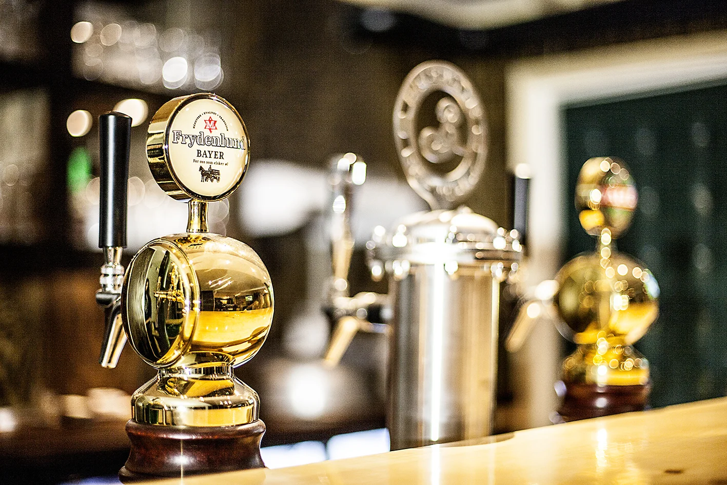 MLVN bardisk 2 Foto Anne Reisch.JPG