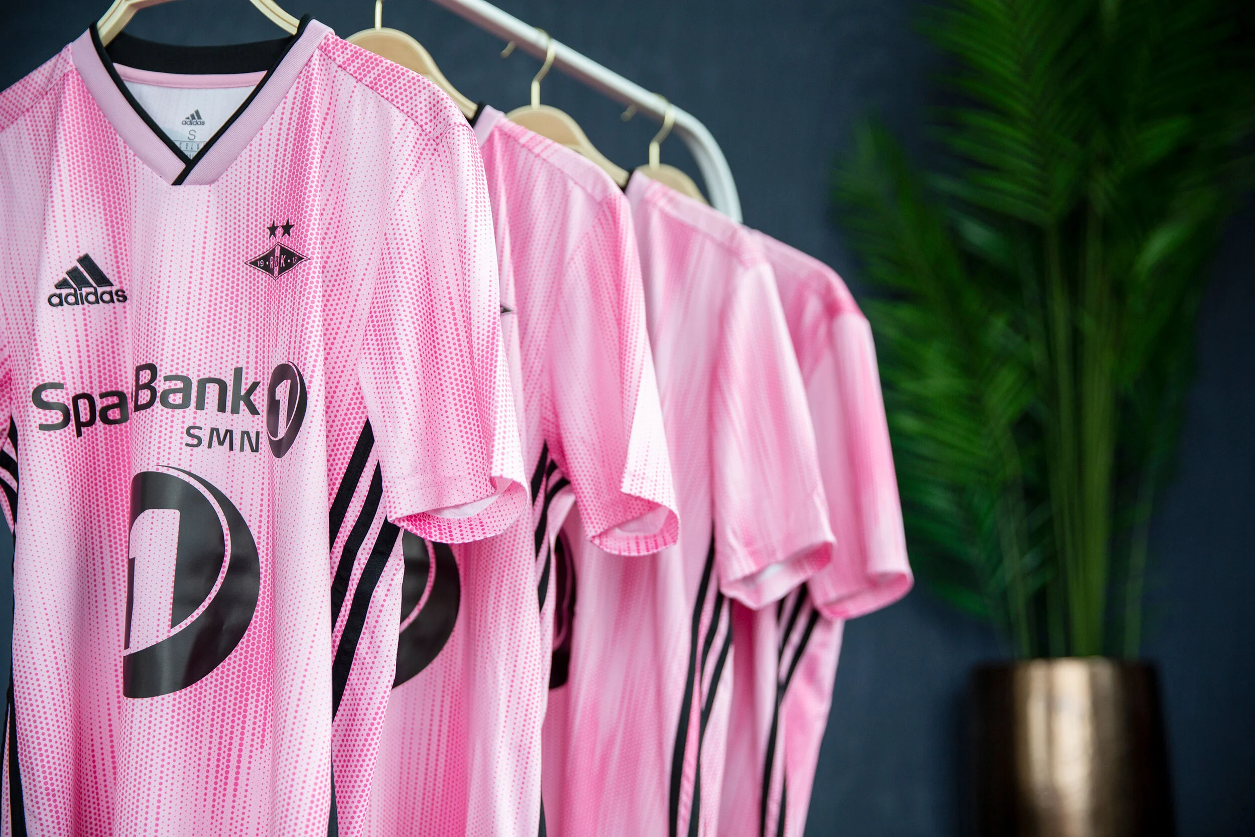 ROSA-JERSEY-RBK-2019-(30).jpg