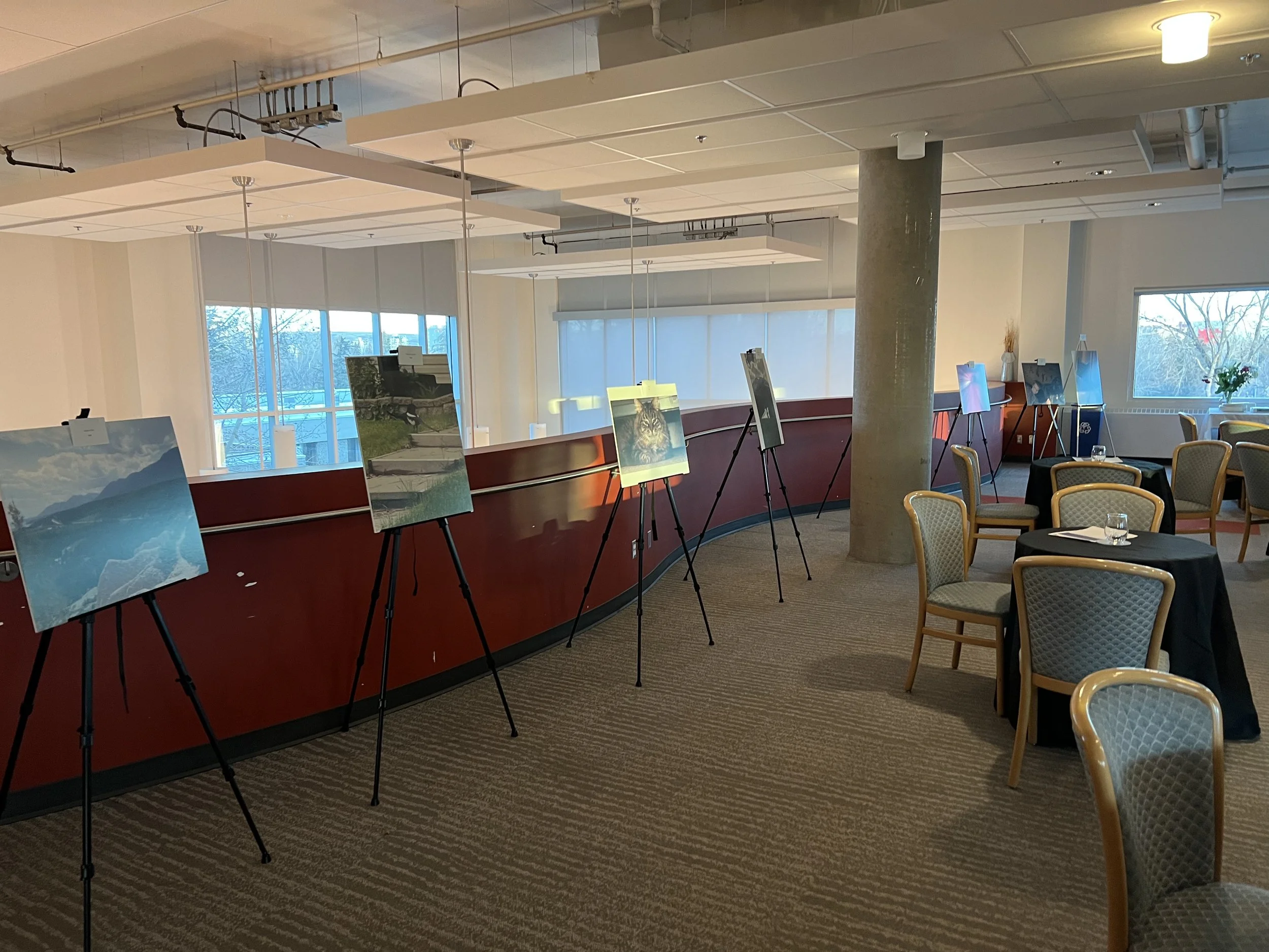 Camouflaging Event at The Owerko Centre