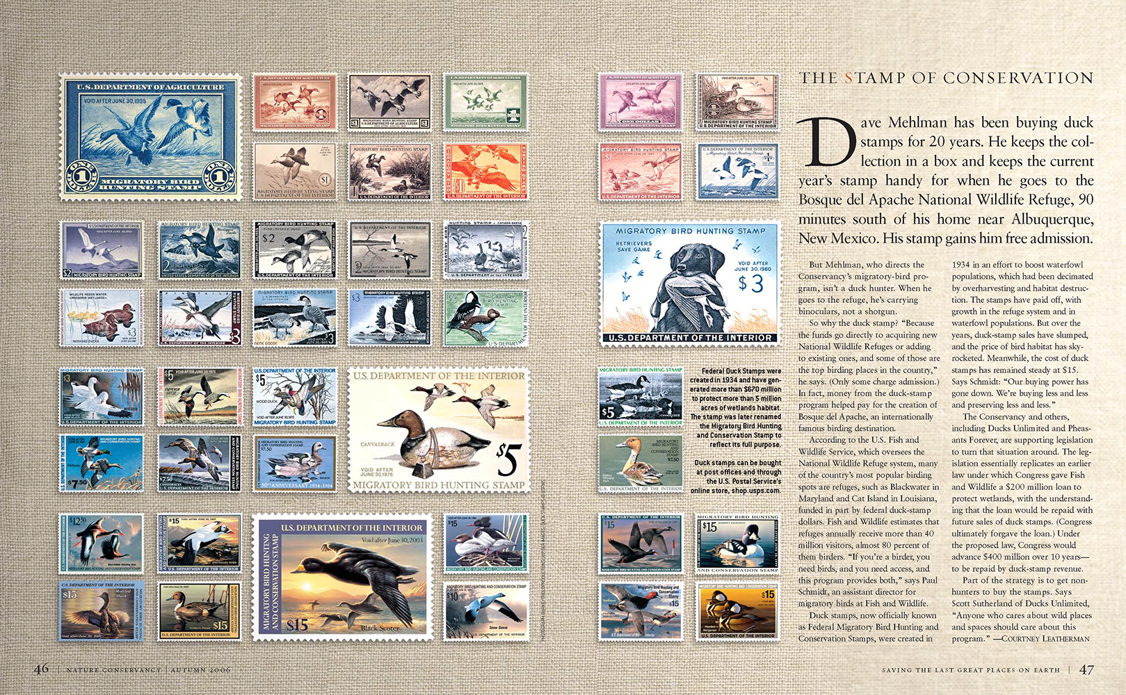 TNC306.HuntingSS714_Page_3LowerRes.png