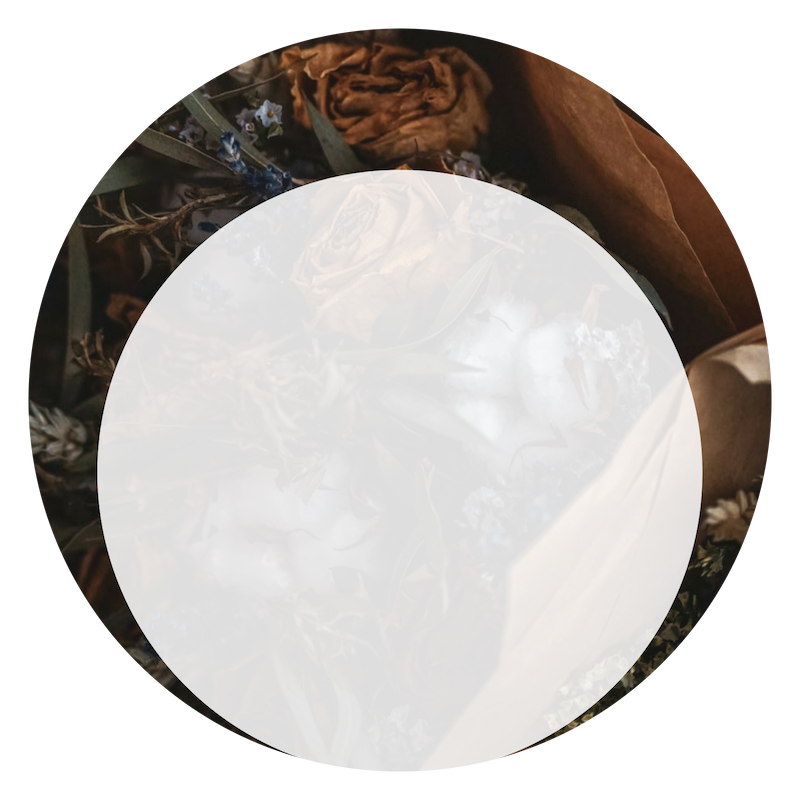 Untitled design (20).png