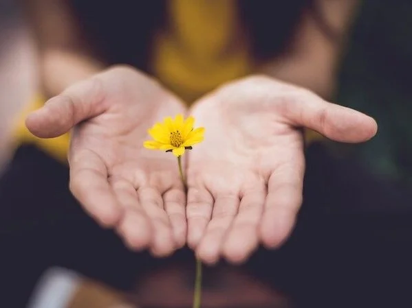 Identify your value image of yellow flower in hand
