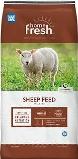 Home Fresh Sheep Feed