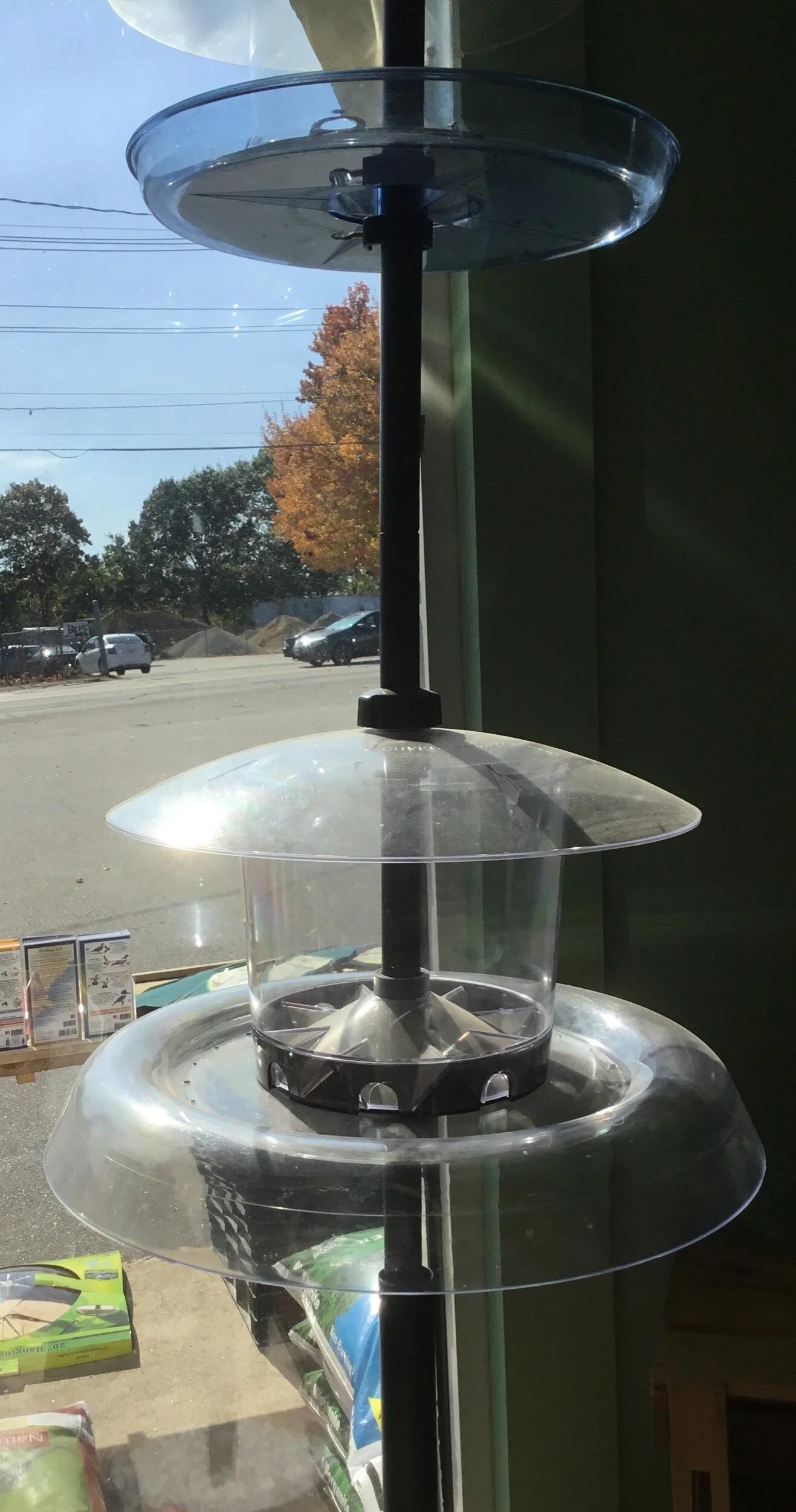 The Jagunda with Auger from Droll Yankees