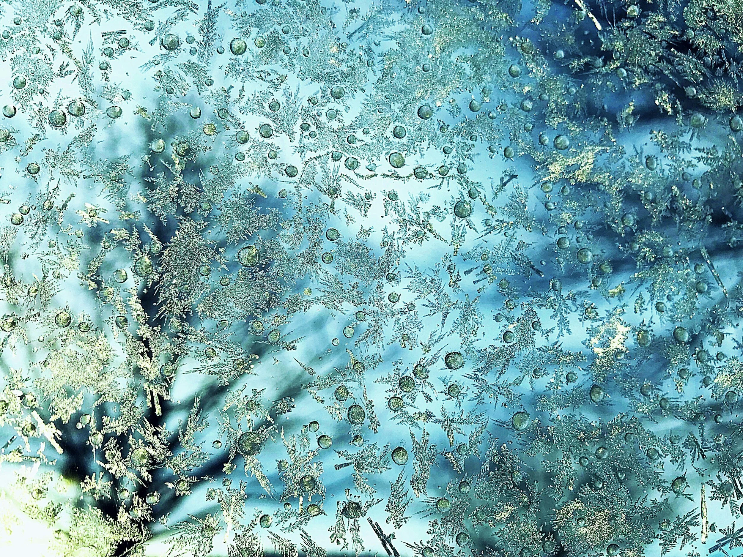 February Musings & Updates