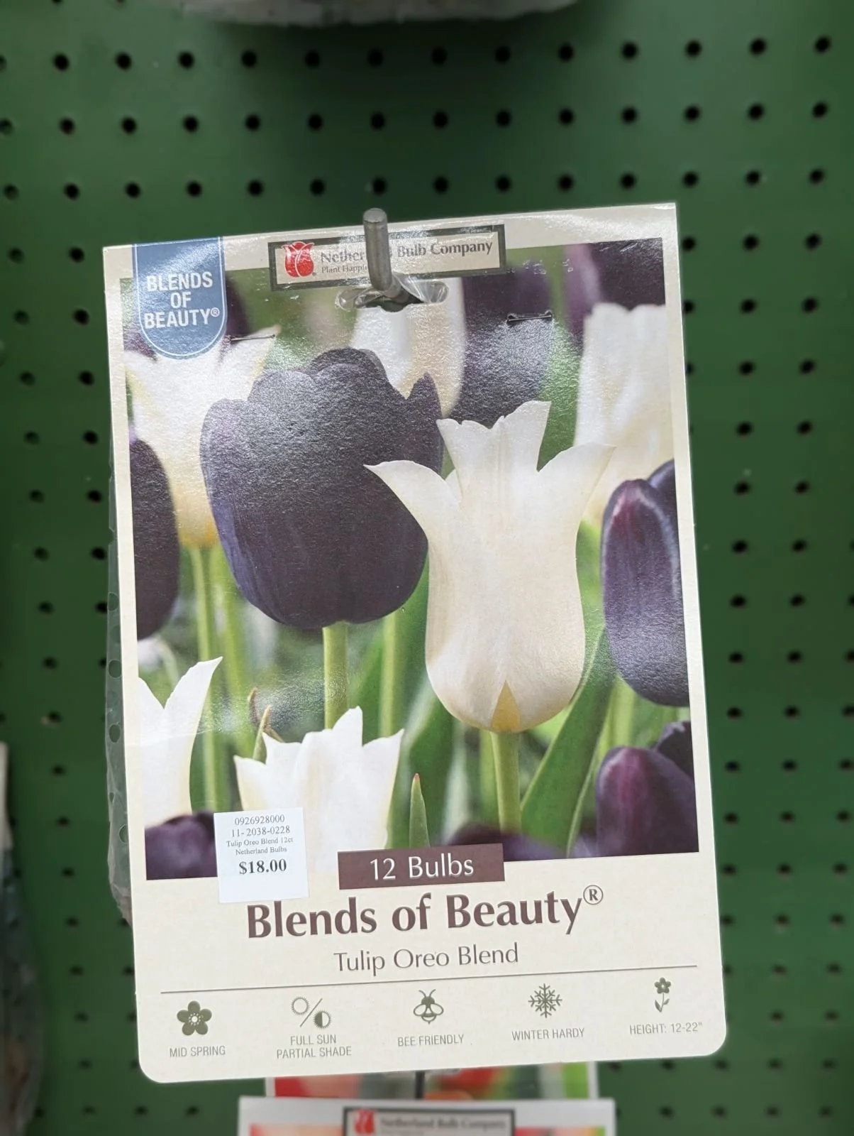 PXL_20260916_172748071.jpeg