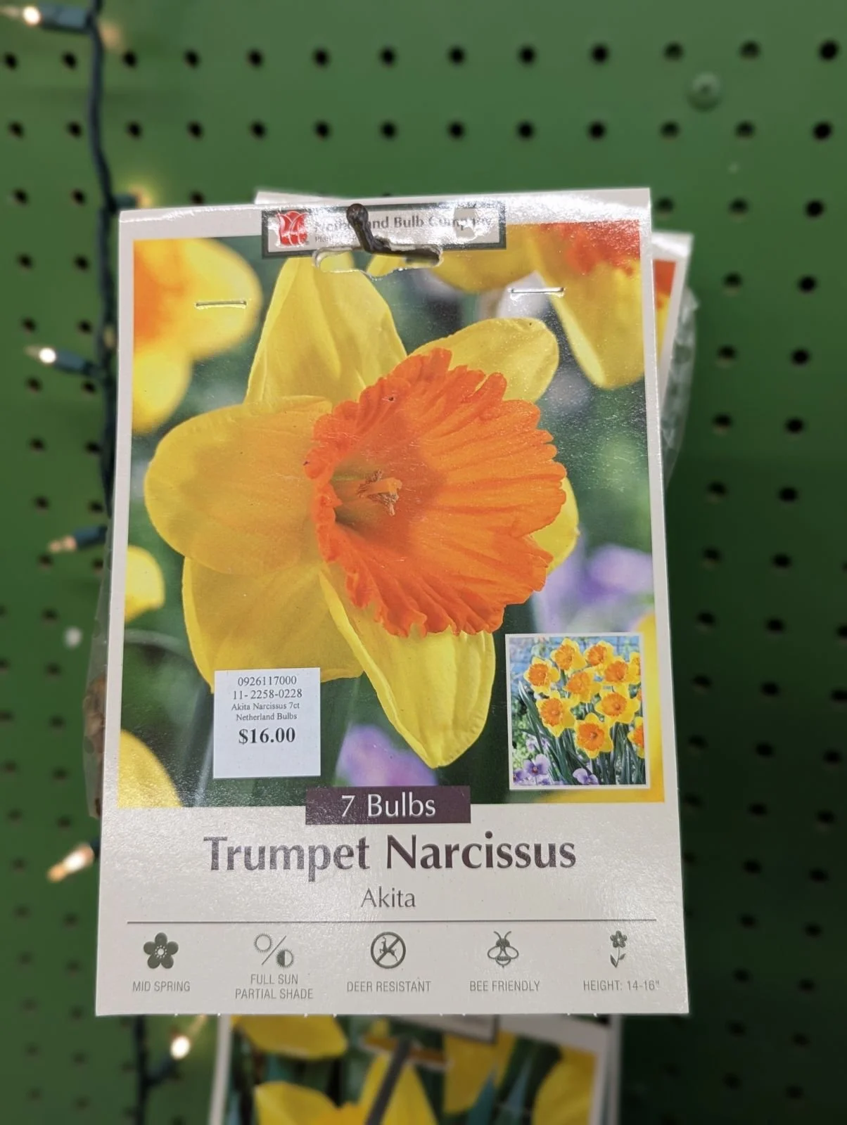 PXL_20260916_172741586.jpeg