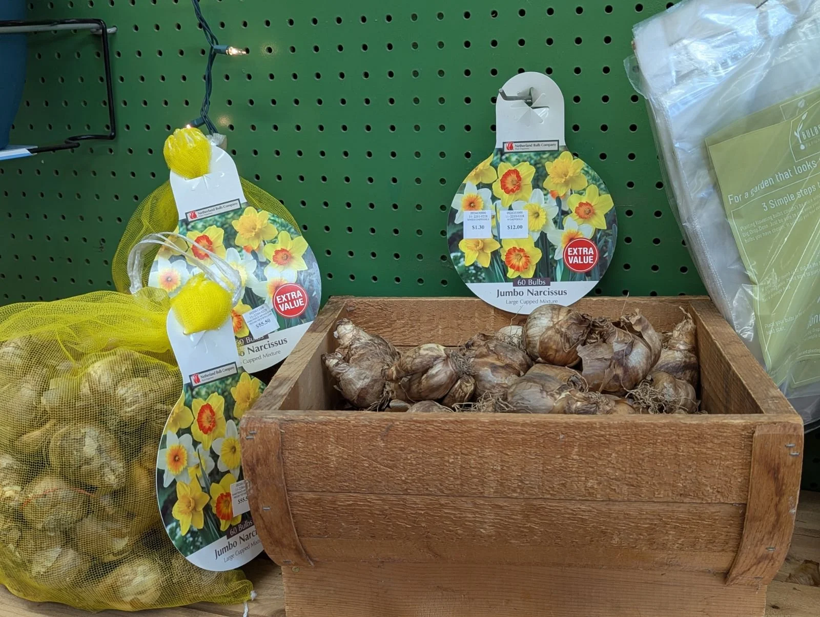 PXL_20260916_172805018.jpeg