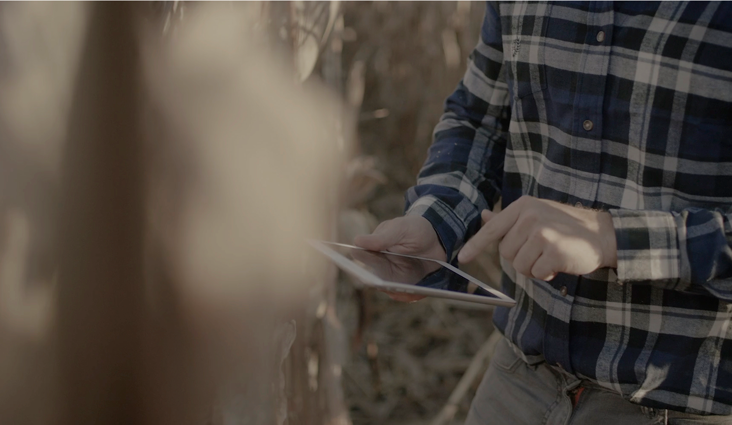 ipad marketing advisor 1.png