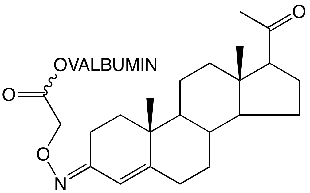 q2608-000.png