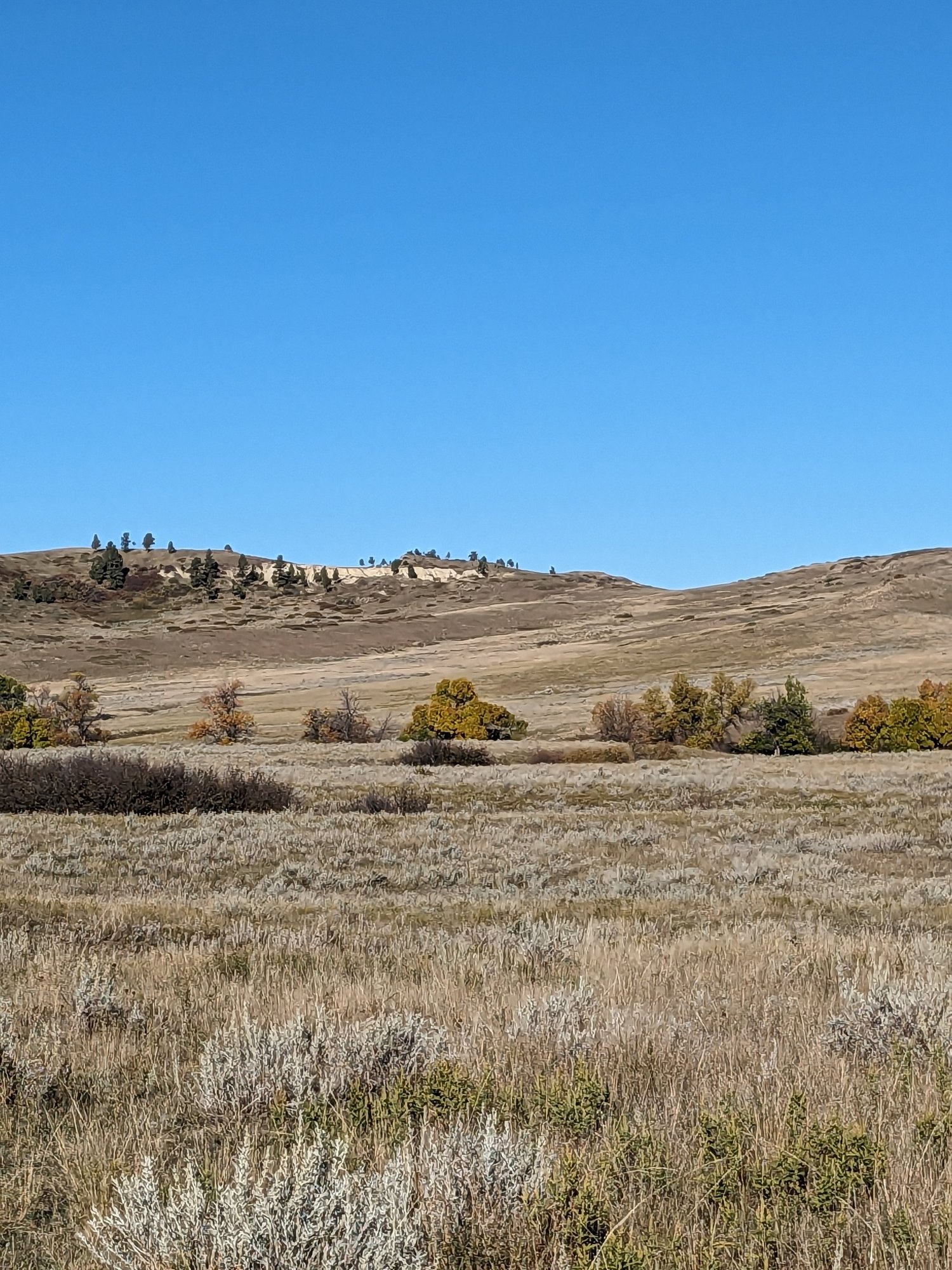Trail to Little Big Horn — LBHA