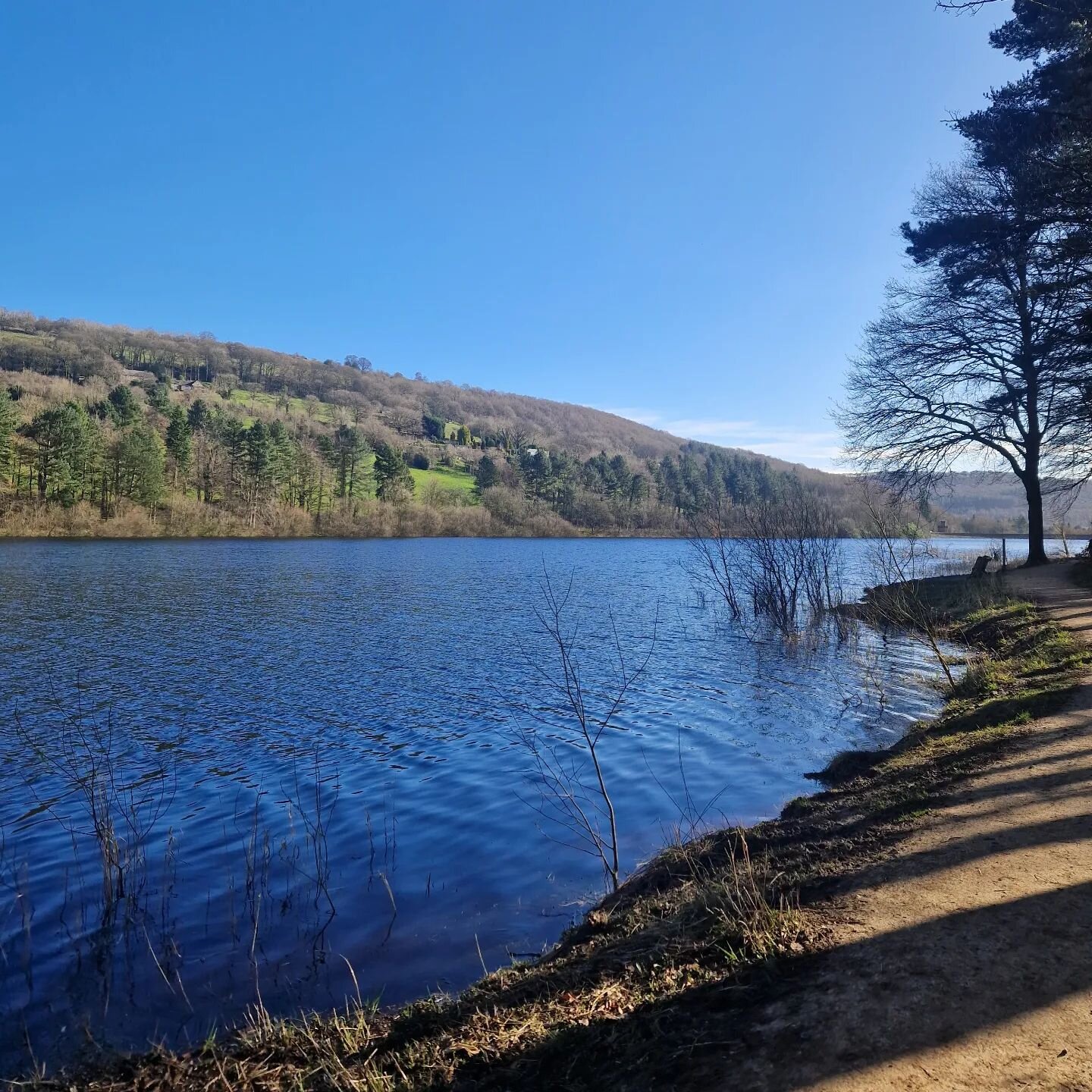 Sunny morning walk. A memory to draw upon as the week goes on.