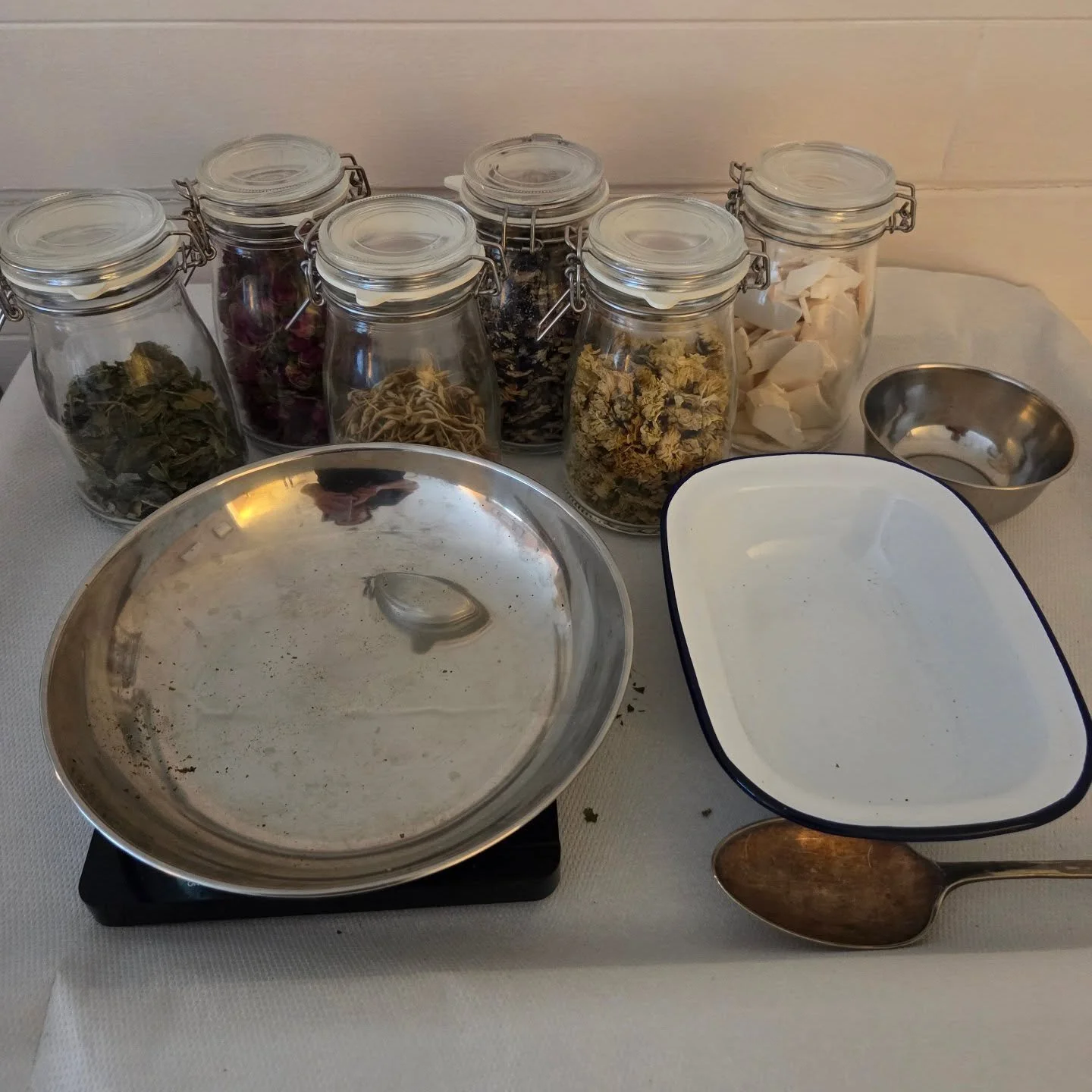 What flu? Treating patients with potent raw herbs. #antiviral #antibiotic #immunoprotective #herbalmedicine #chm #winterseason #health #healthierchoices #wellness  #masterherbalist #licencedherbalist