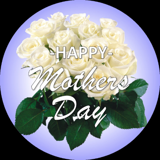 download (65).png
