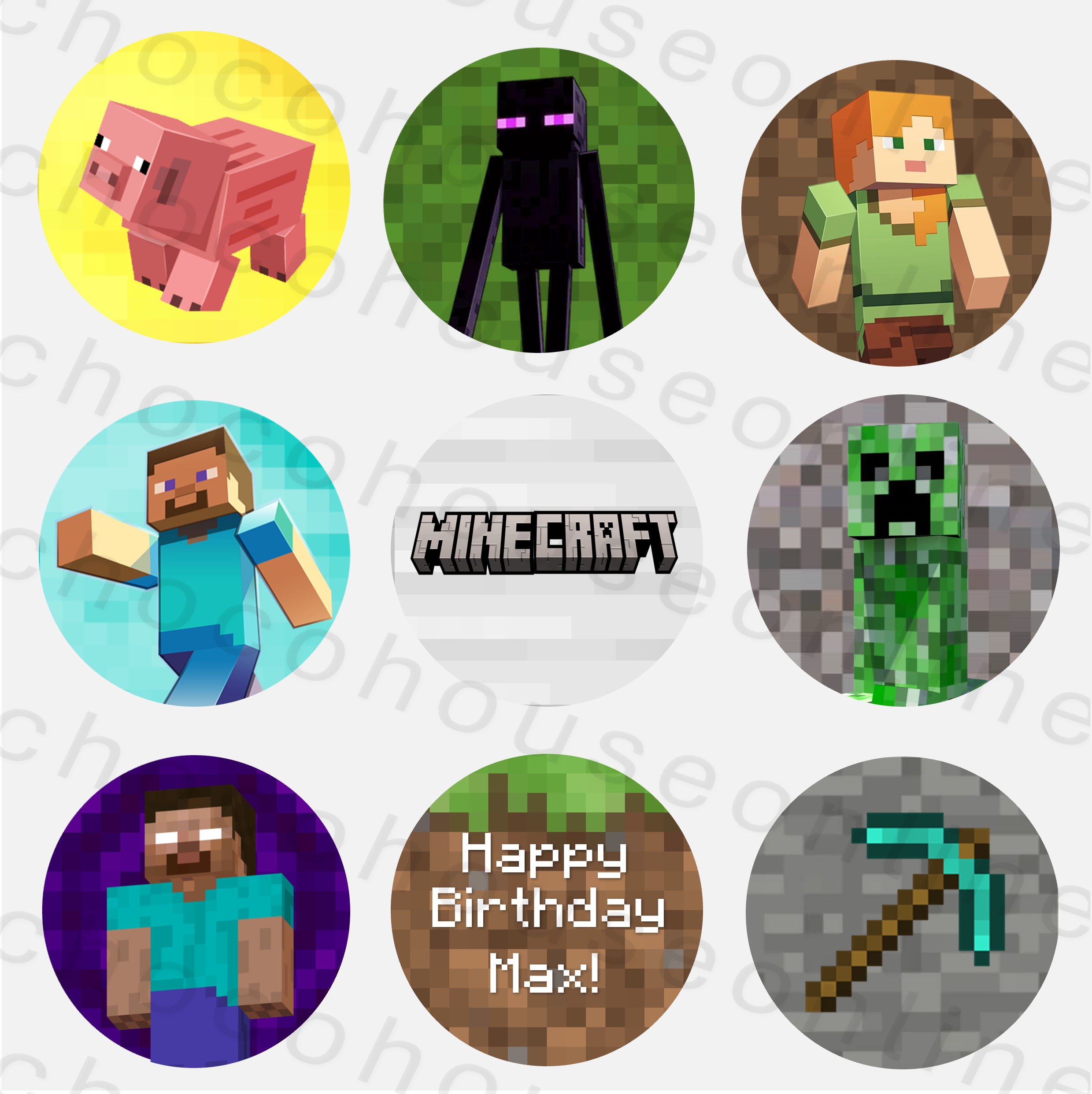 Picture8SS.png