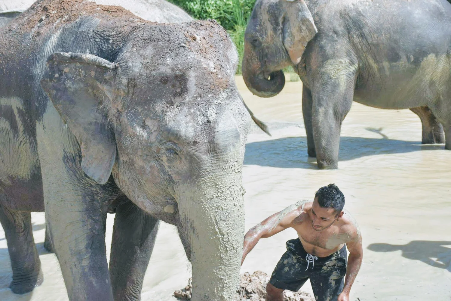 Where to see Elephants near Bangkok, Thailand — Hyder Sea Travels