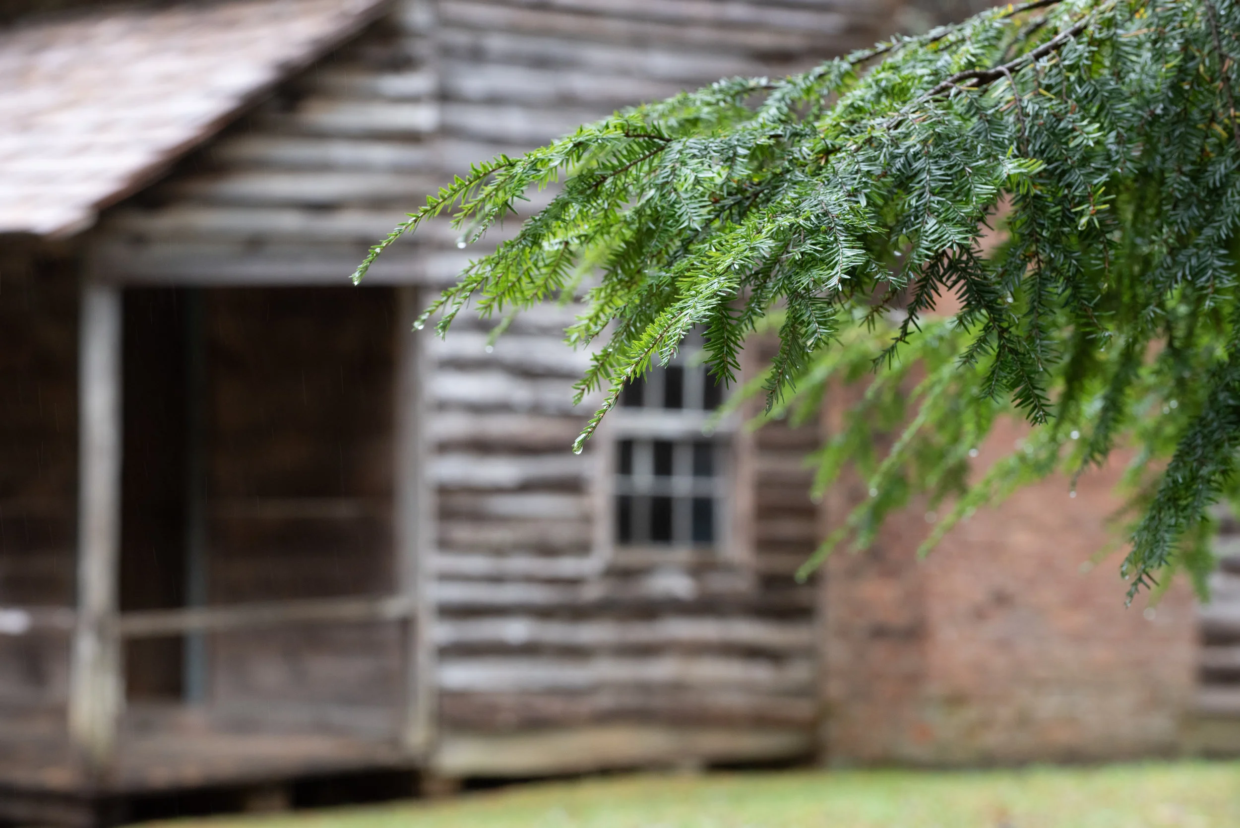 John Whitehead Cabin, Cades Cove GSMNP.