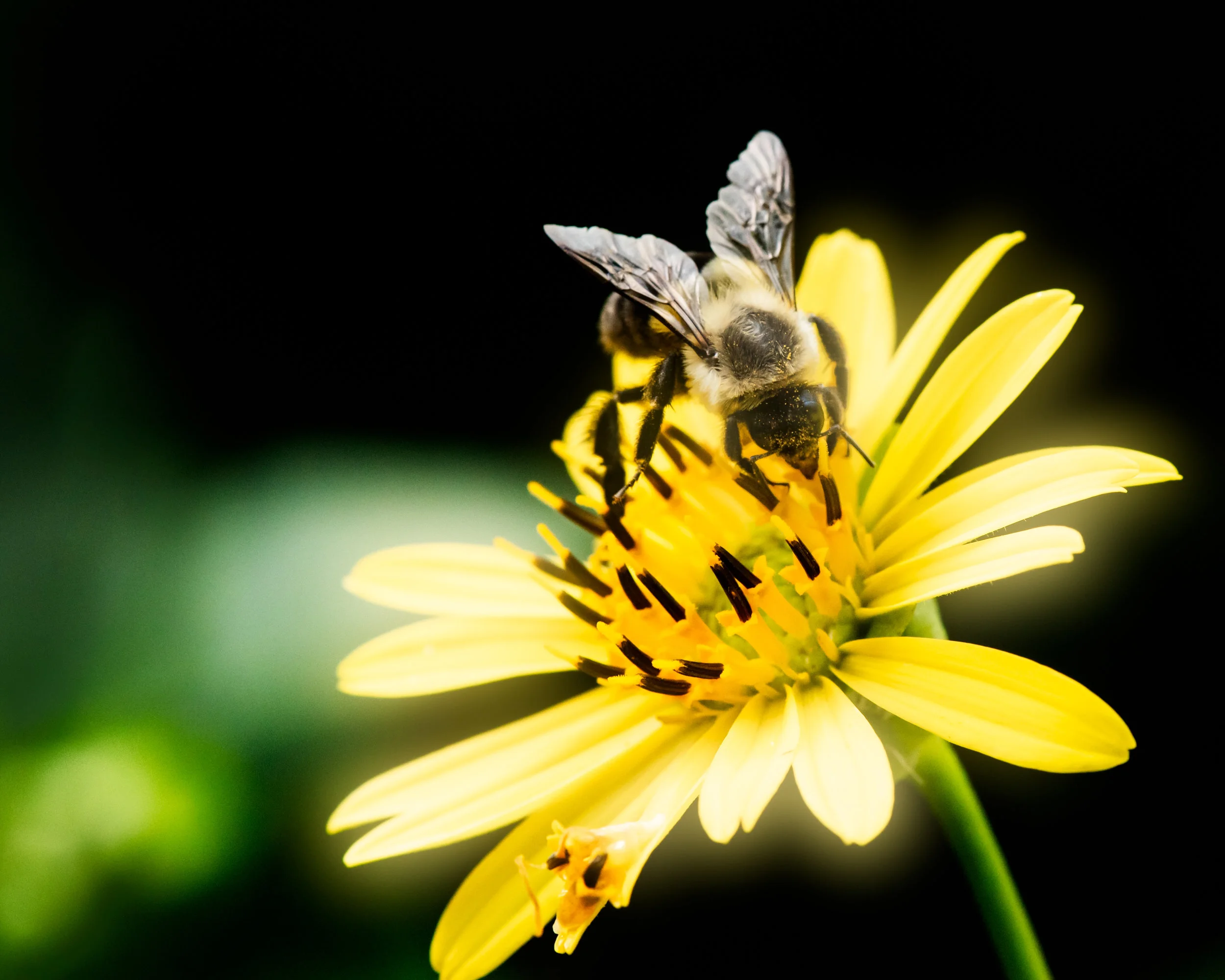 DSC_4445-Edit.jpg