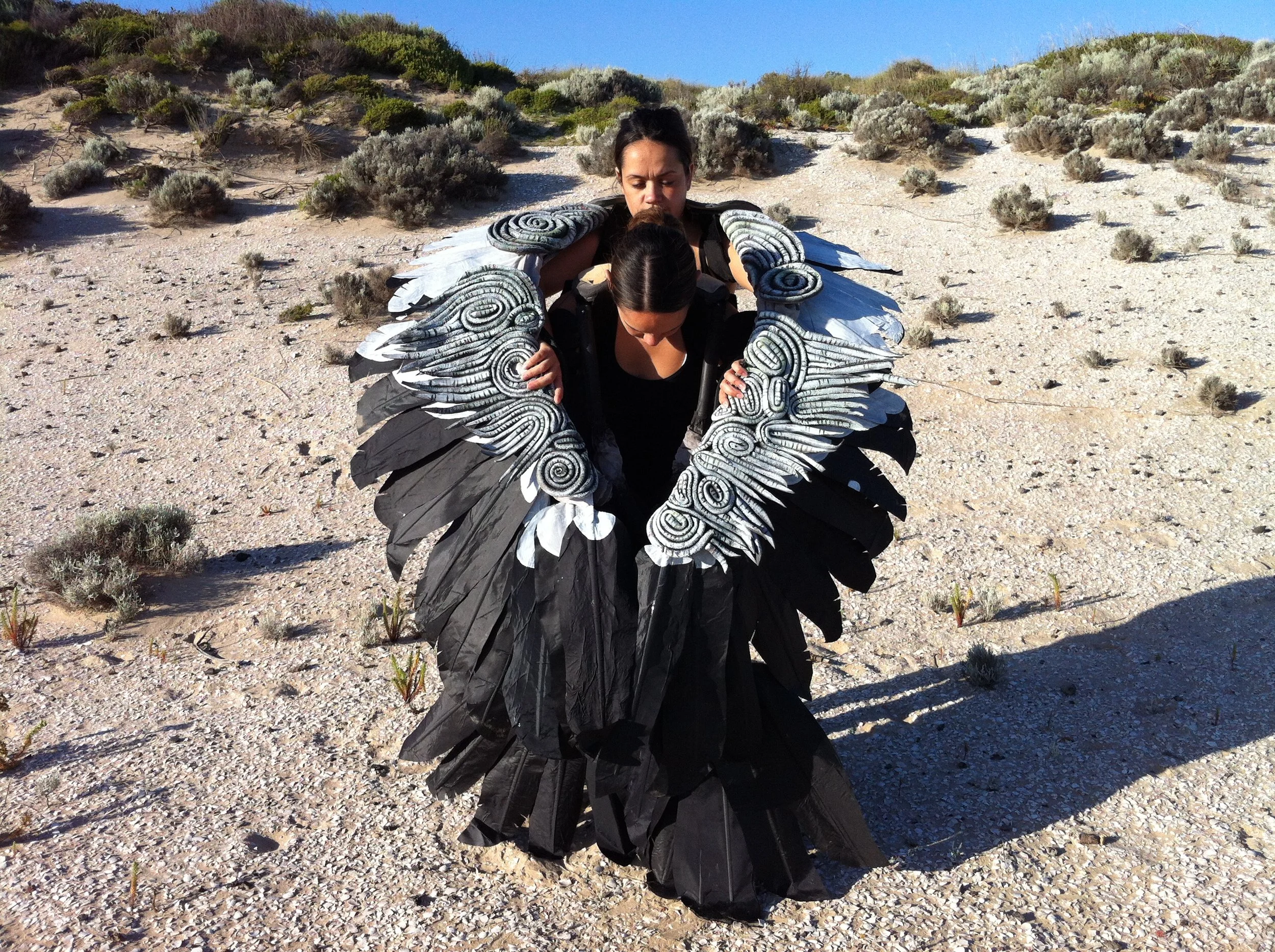 Articulated Magpie goose wings