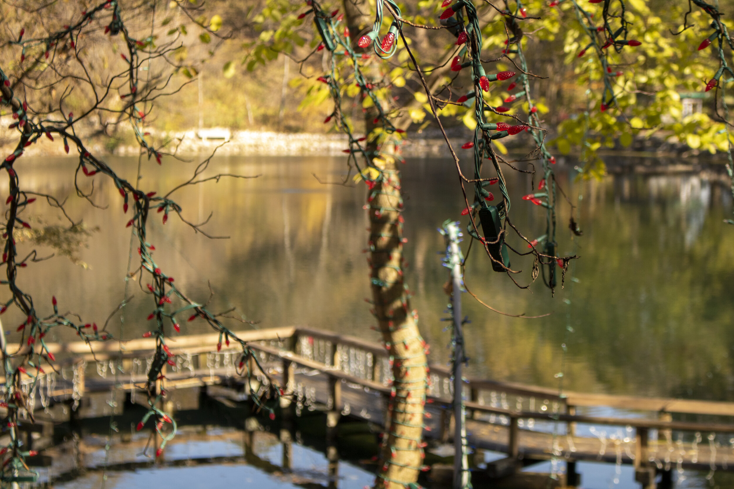 Janesville Rotary Botanical Gardens Matt Tupper Photography