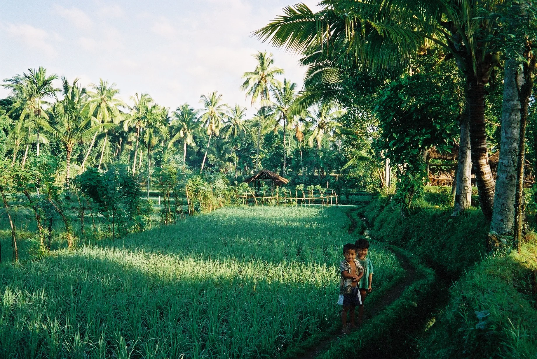 Lendang Nangka, Lombok, Indonesia, 1996