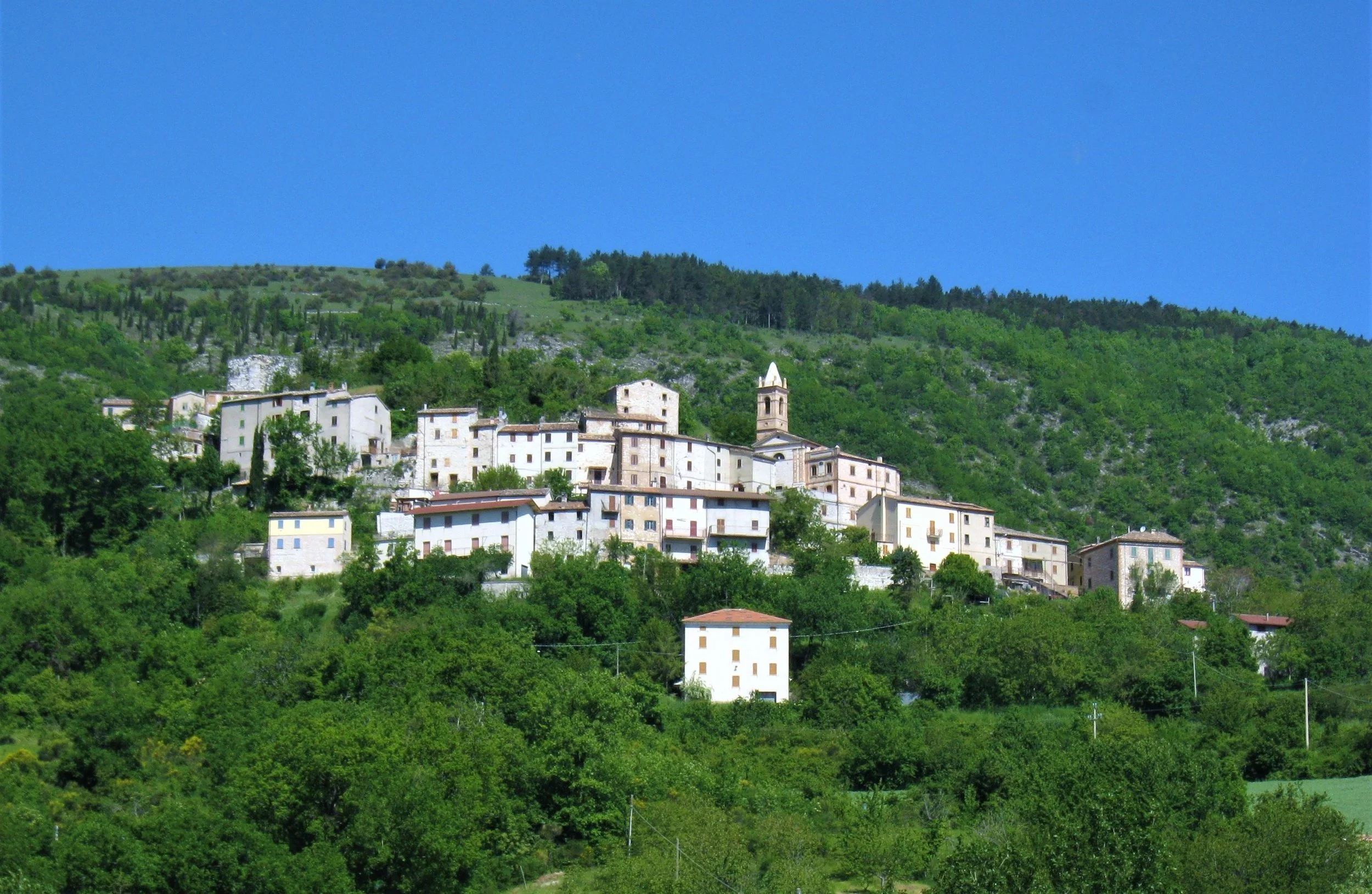 Rotondo, Sassoferrato, Le Marche, Italy, 2008