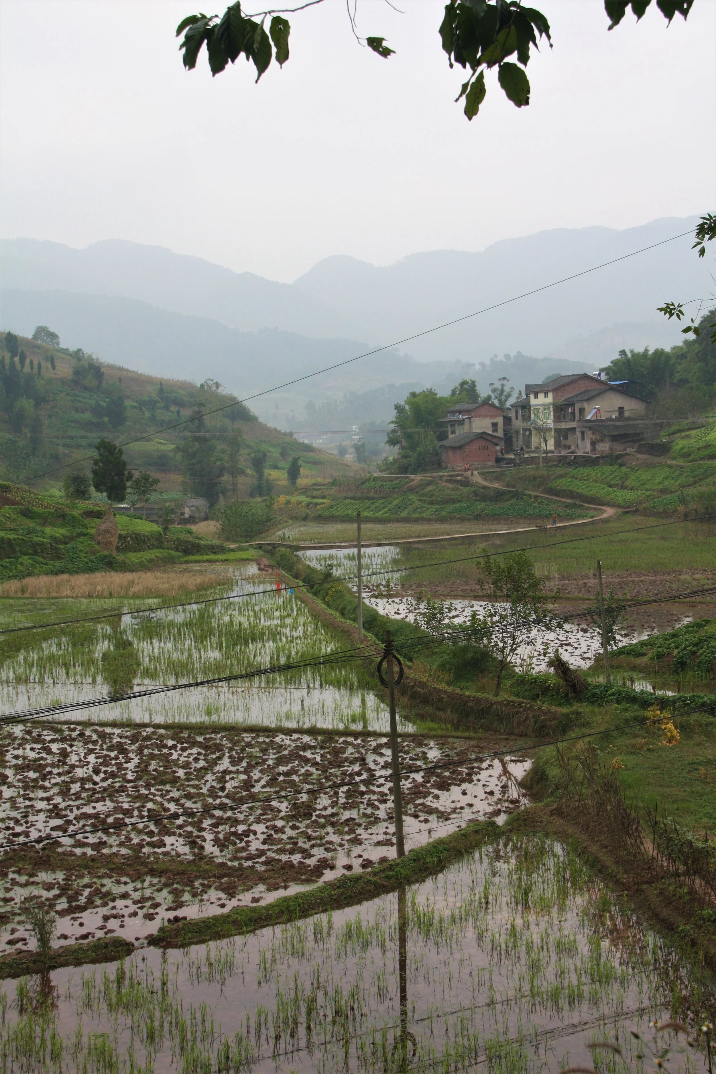 Laitan, Chongqing, China, 2011