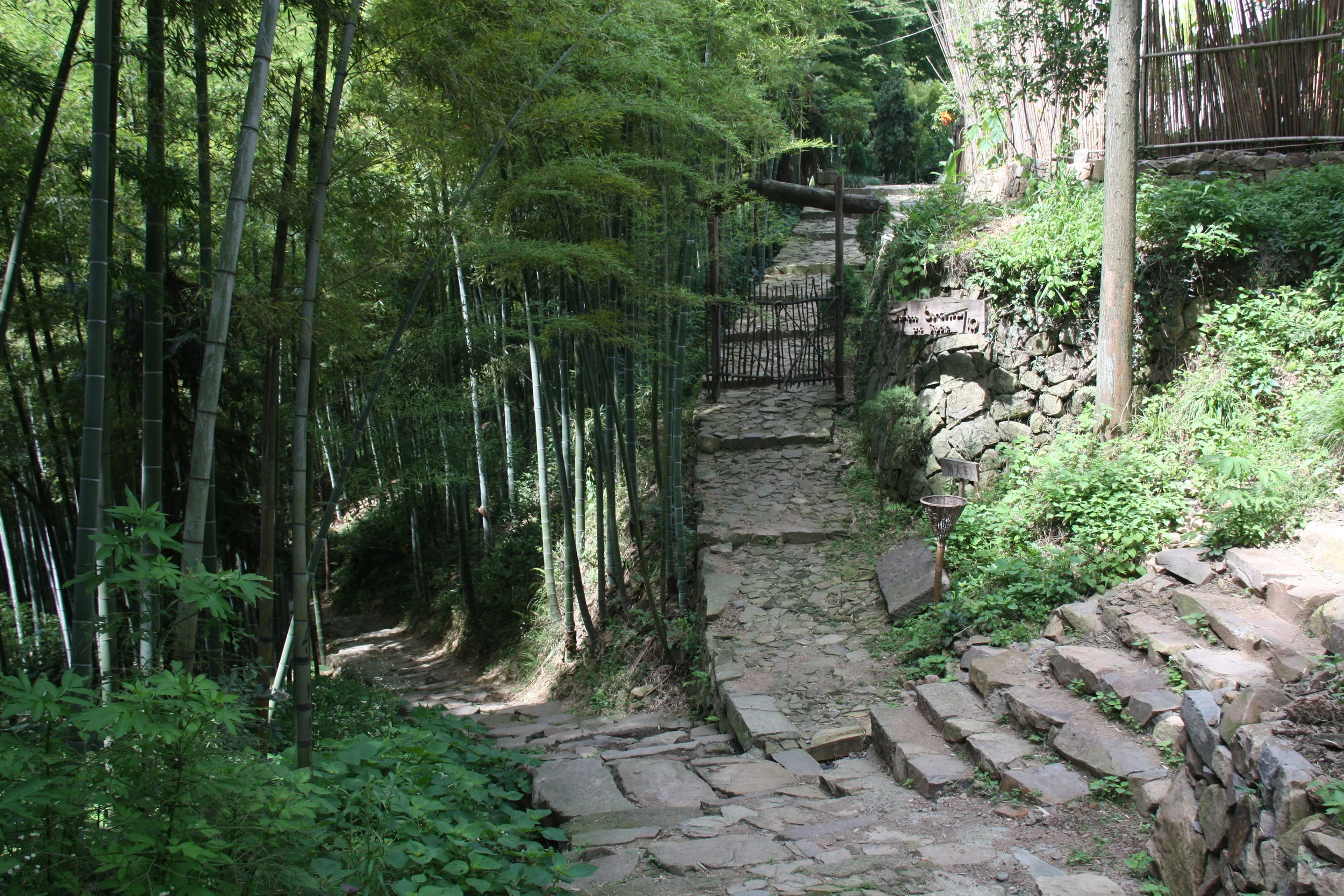  Moganshan, Zhejiang, China, 2009