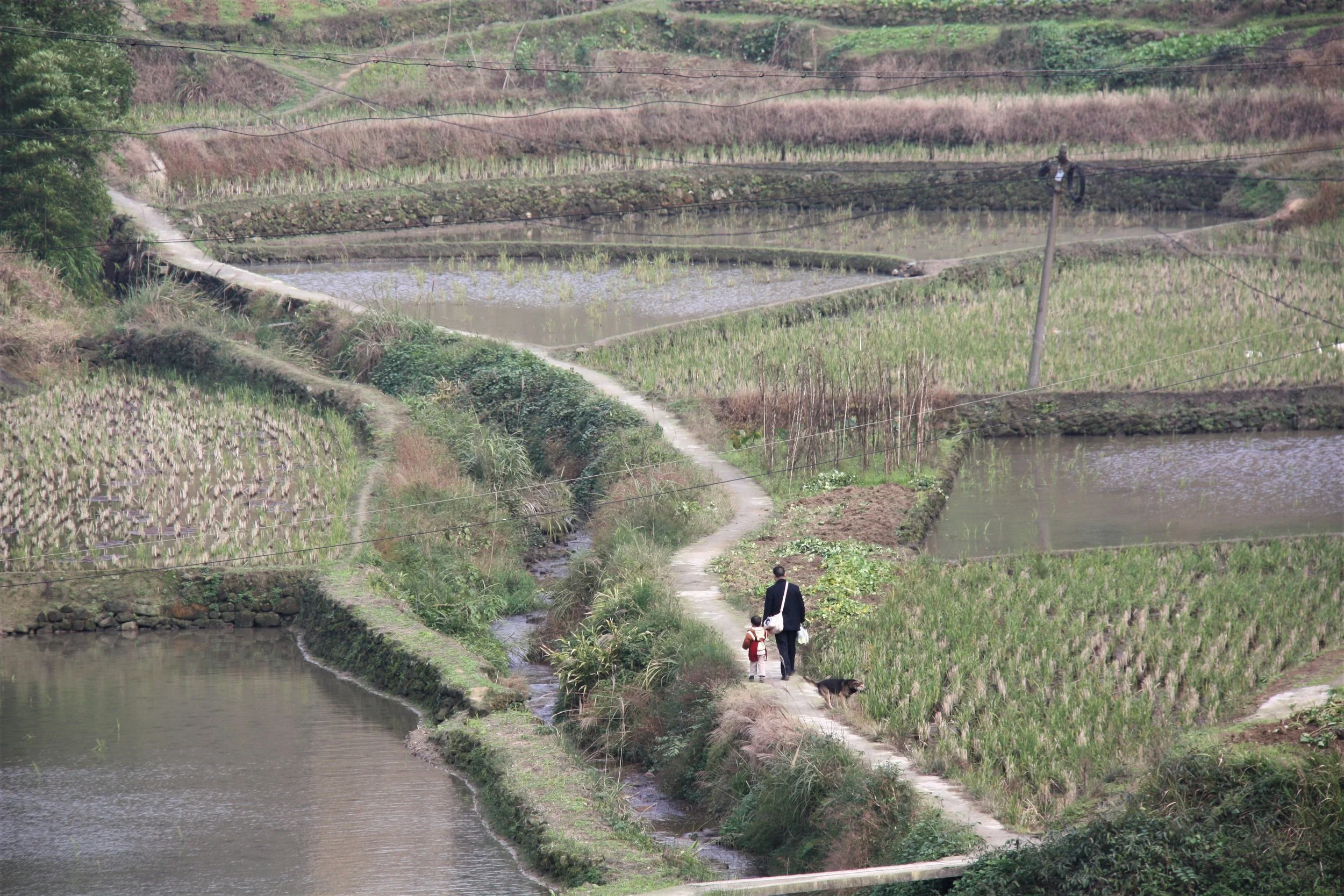 Laitan, Chongqing, China, 2011