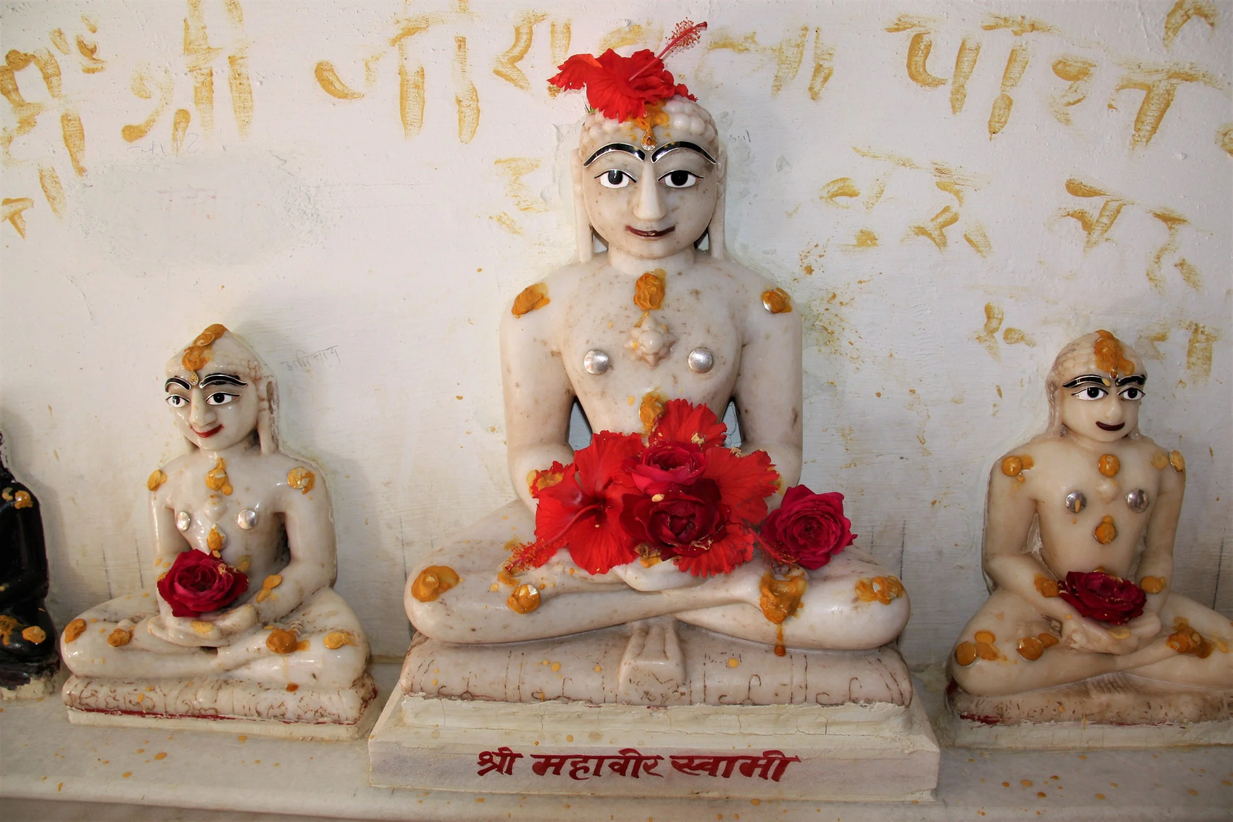 Narlai, Rajasthan, India, 2008