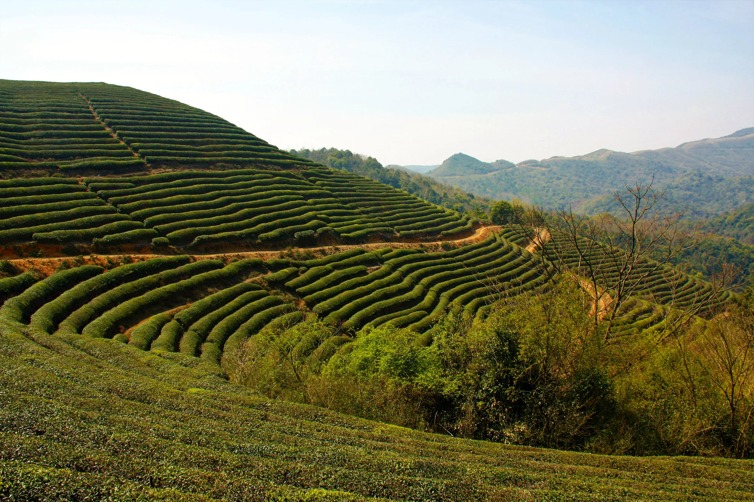 Xujiashan, Ninghai, Zhejiang, China, 2017