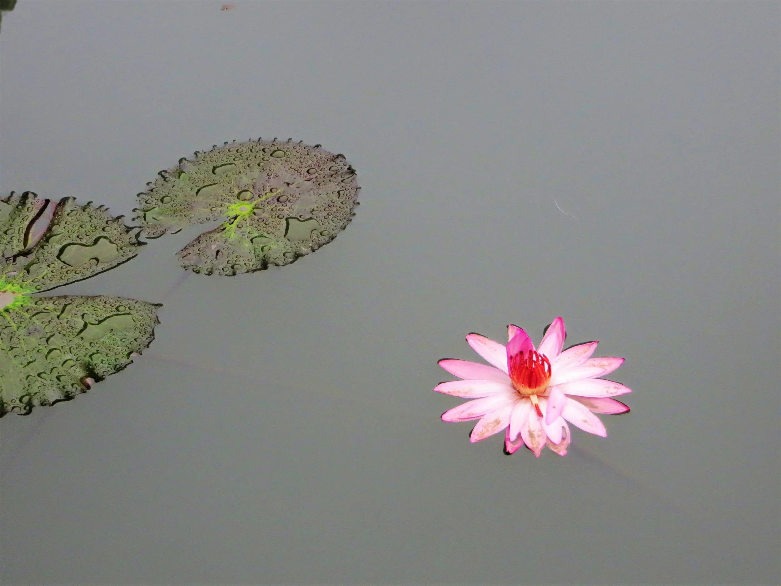 Hue, Vietnam, 2013
