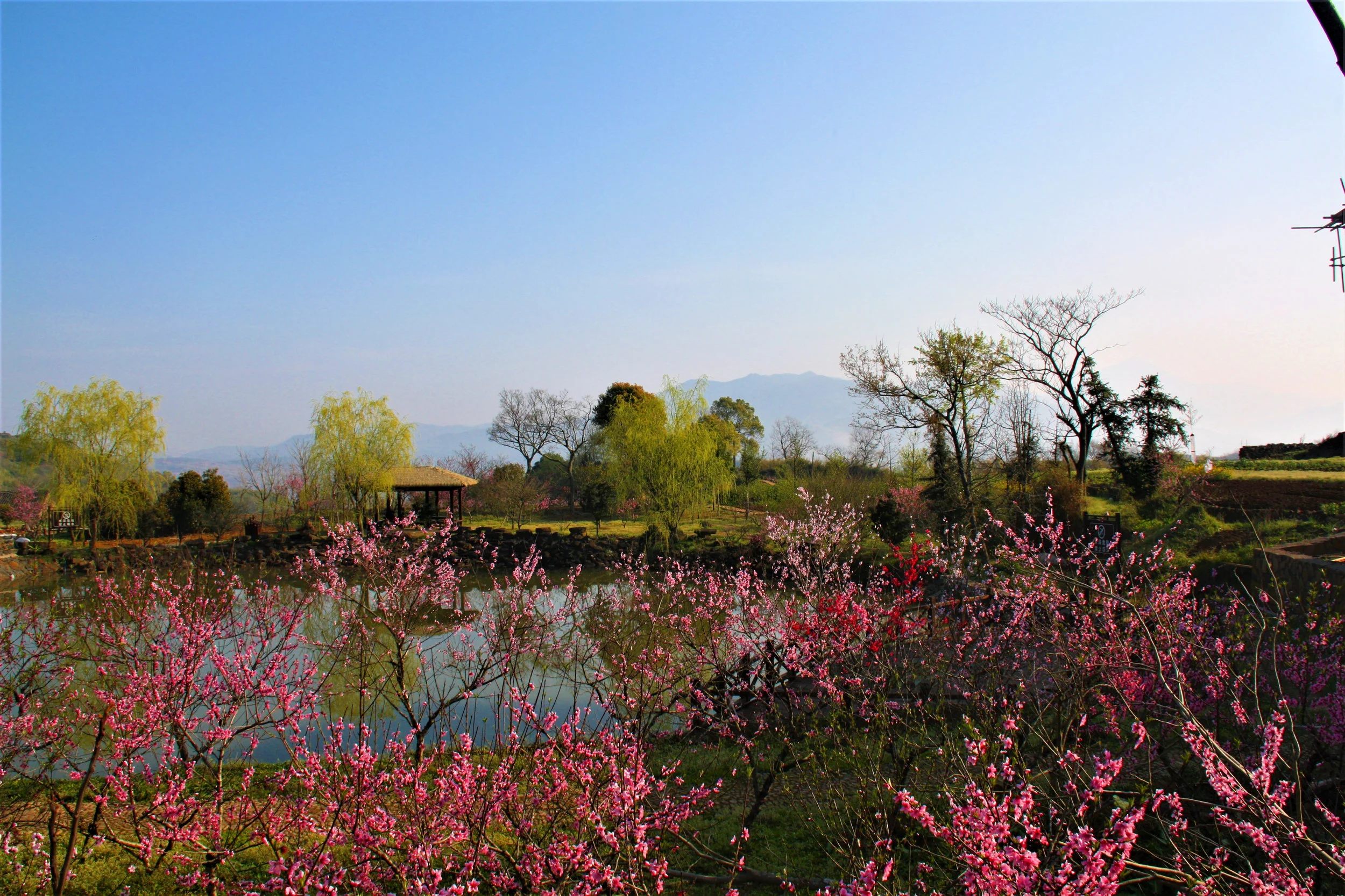 Xujiashan, Ninghai, Zhejiang, China, 2017