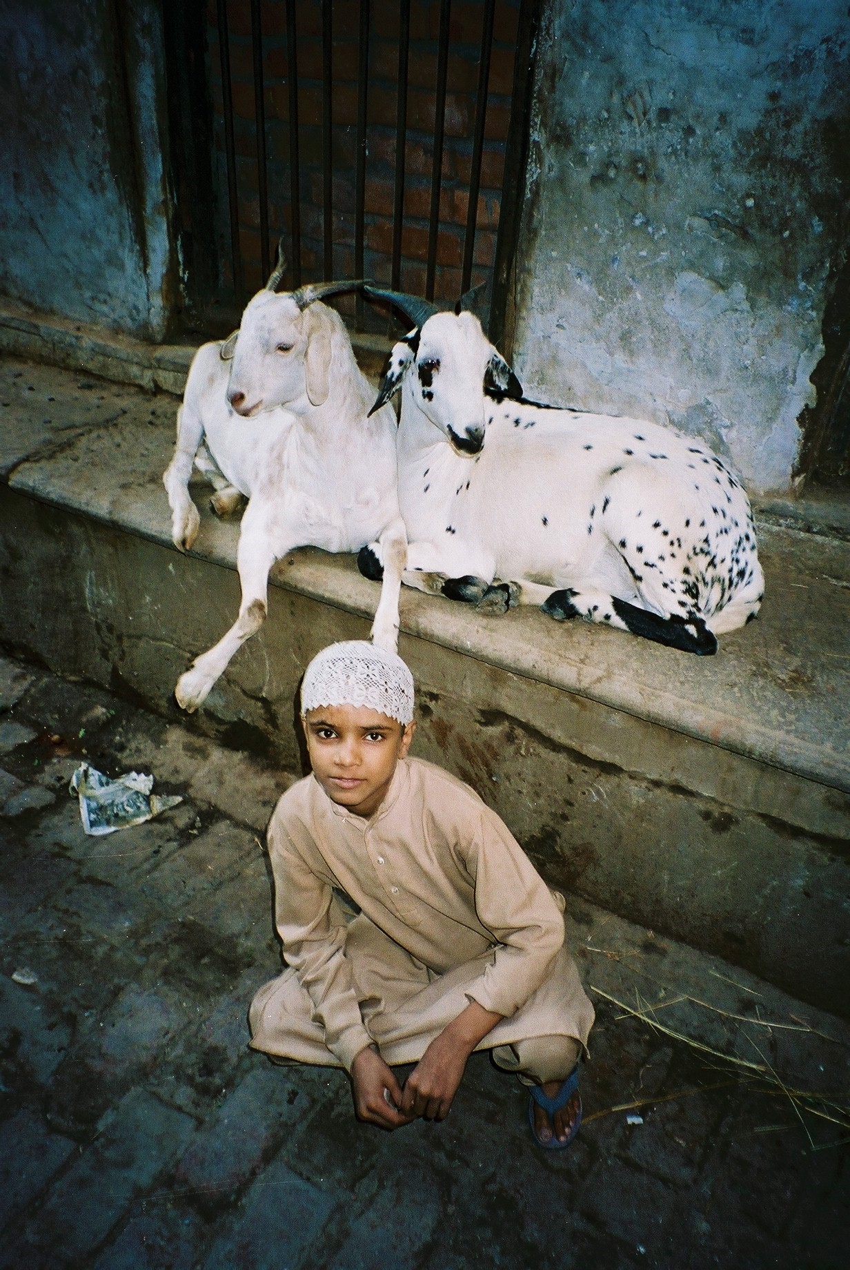 India, 1996
