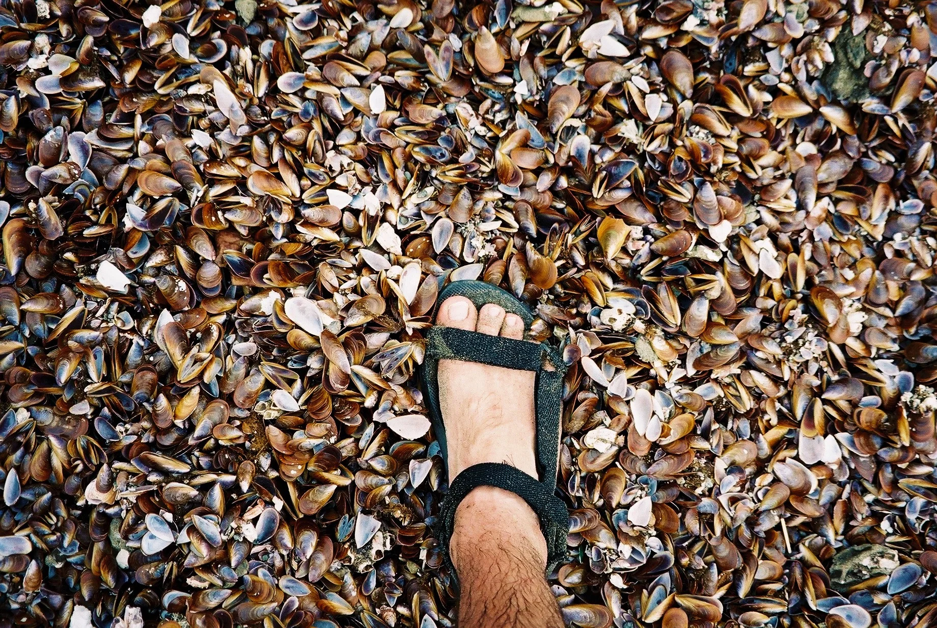 Karang Hawu, West Java, Indonesia, 1997