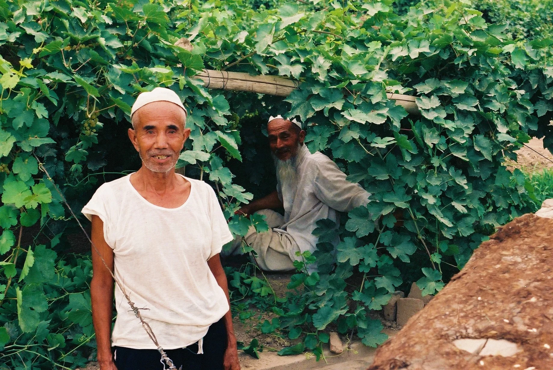 Turpan, Xinjiang, China, 1999