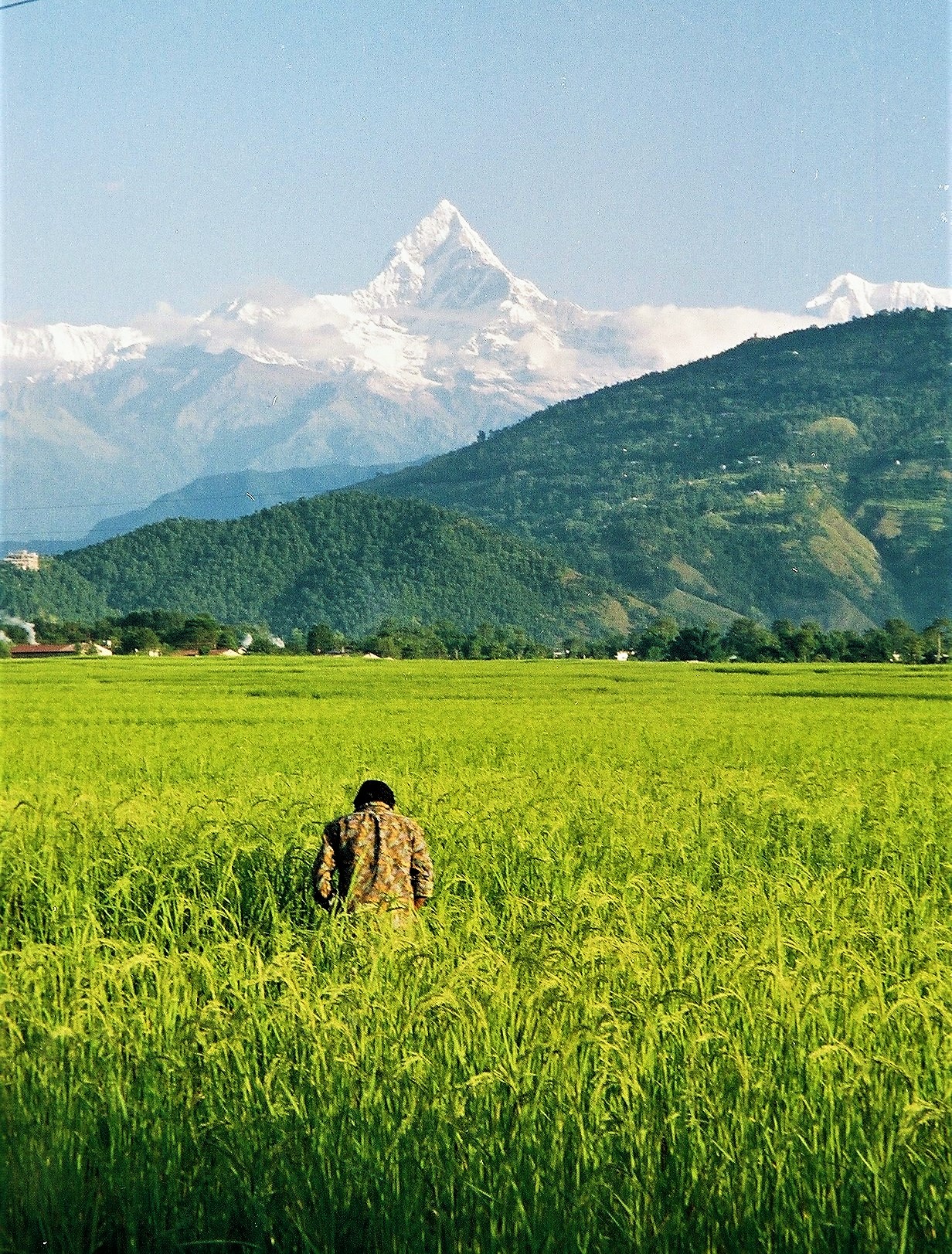 Annapurna, Nepal, 1996