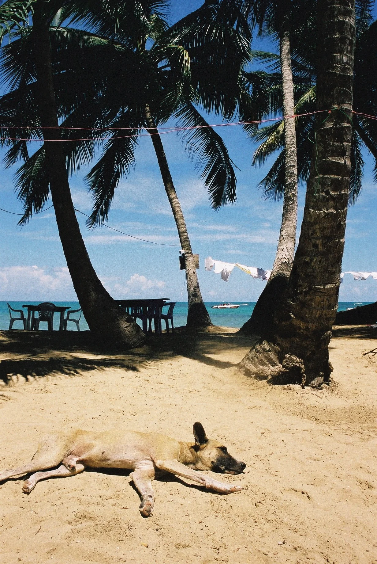 Las Terrenas, Dominican Republic, 2001