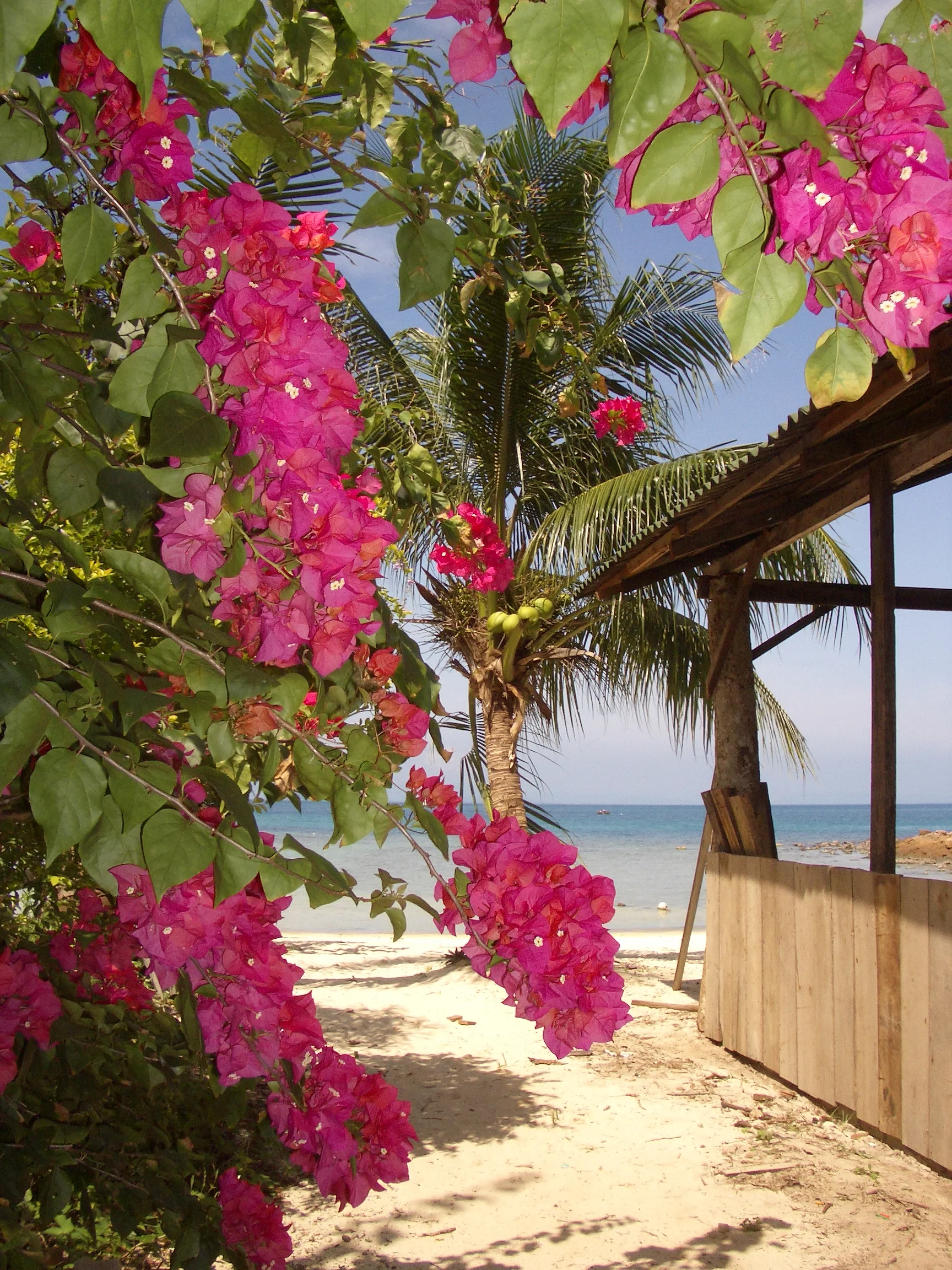 Pulao Perhentian Kecil, Malaysia, 2005