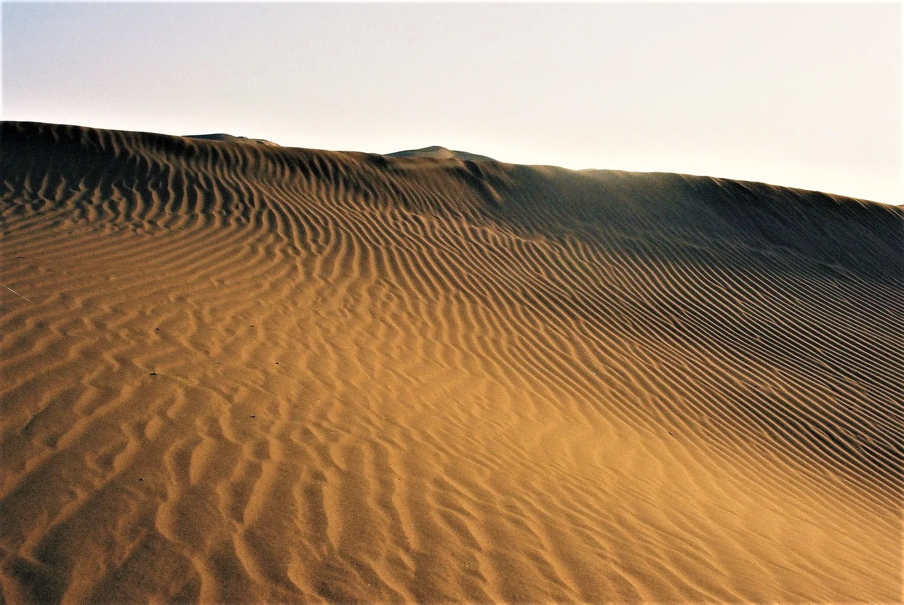 Sam, Rajasthan, India, 1996