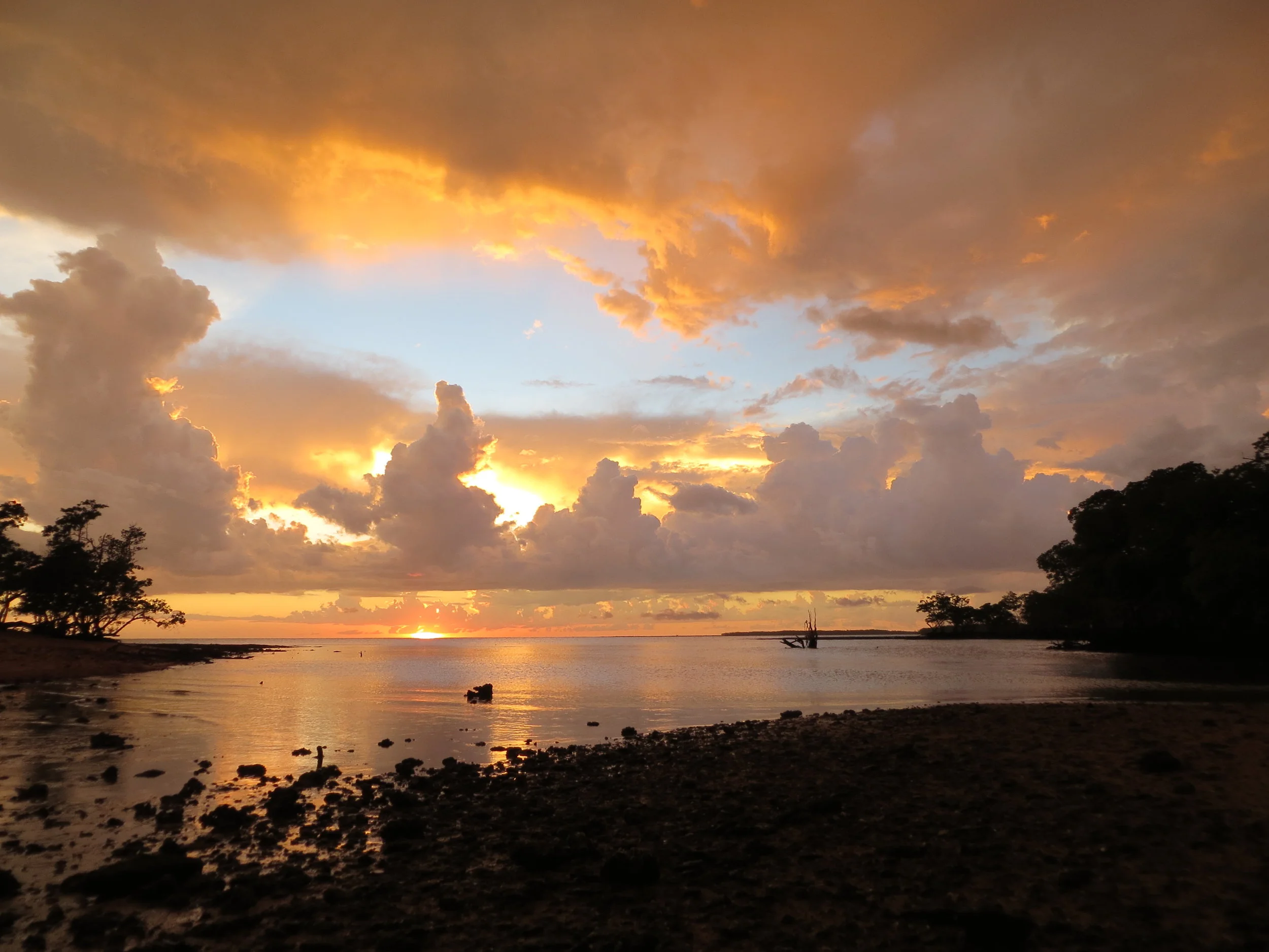 Ten Thousand Islands, Everglades, Florida, USA, 2012