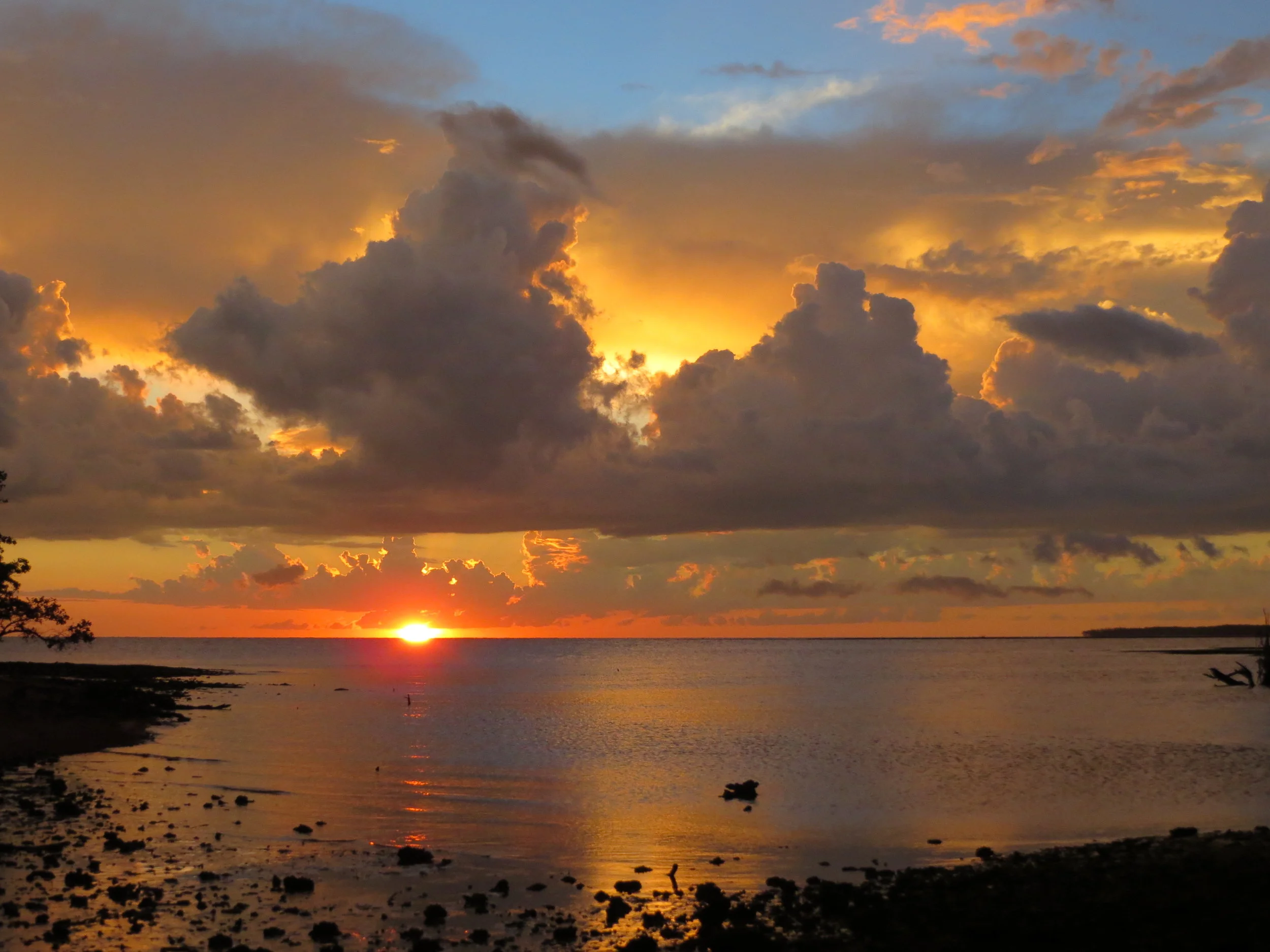 Ten Thousand Islands, Everglades, Florida, USA, 2012