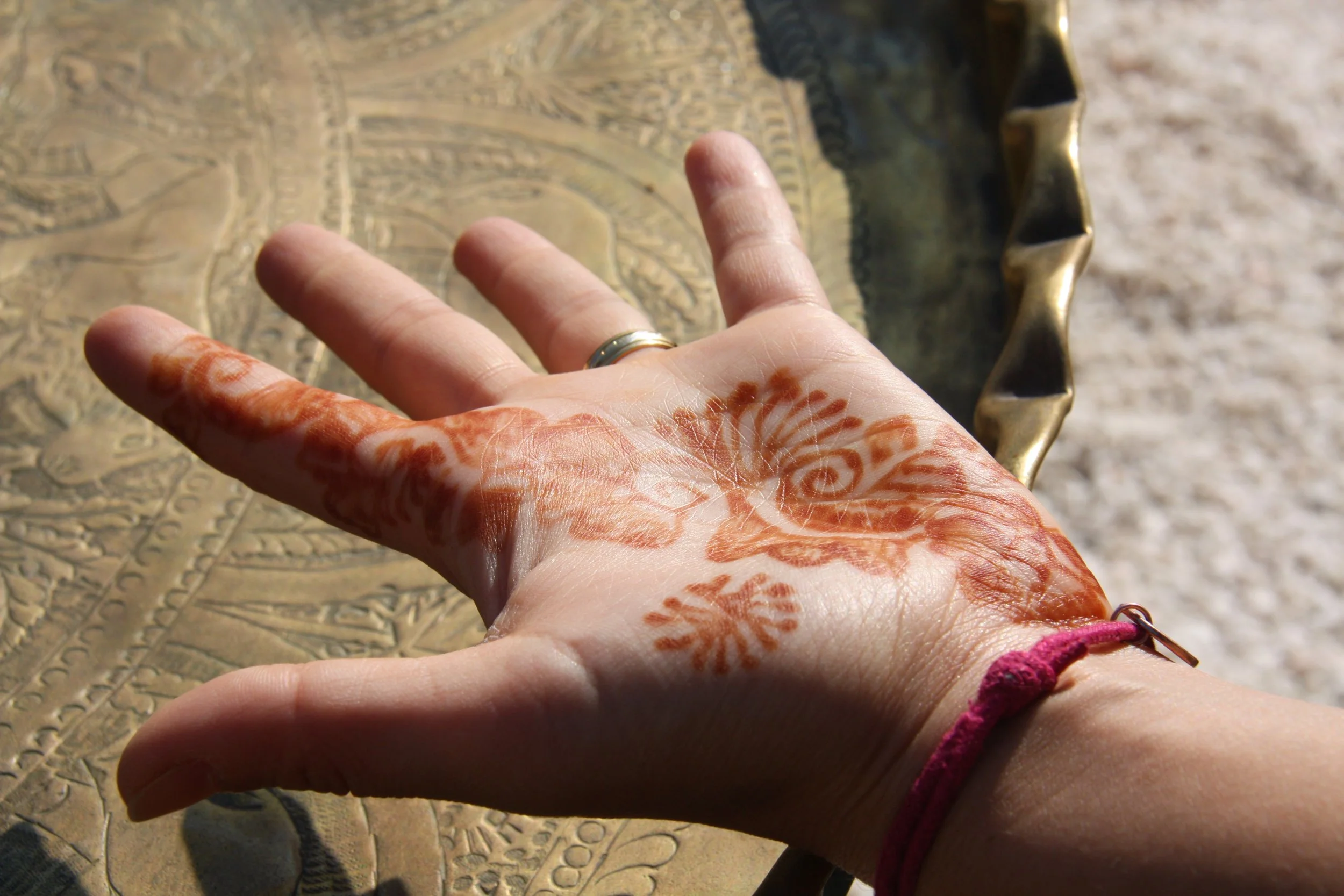 Narlai, Rajasthan, India, 2008