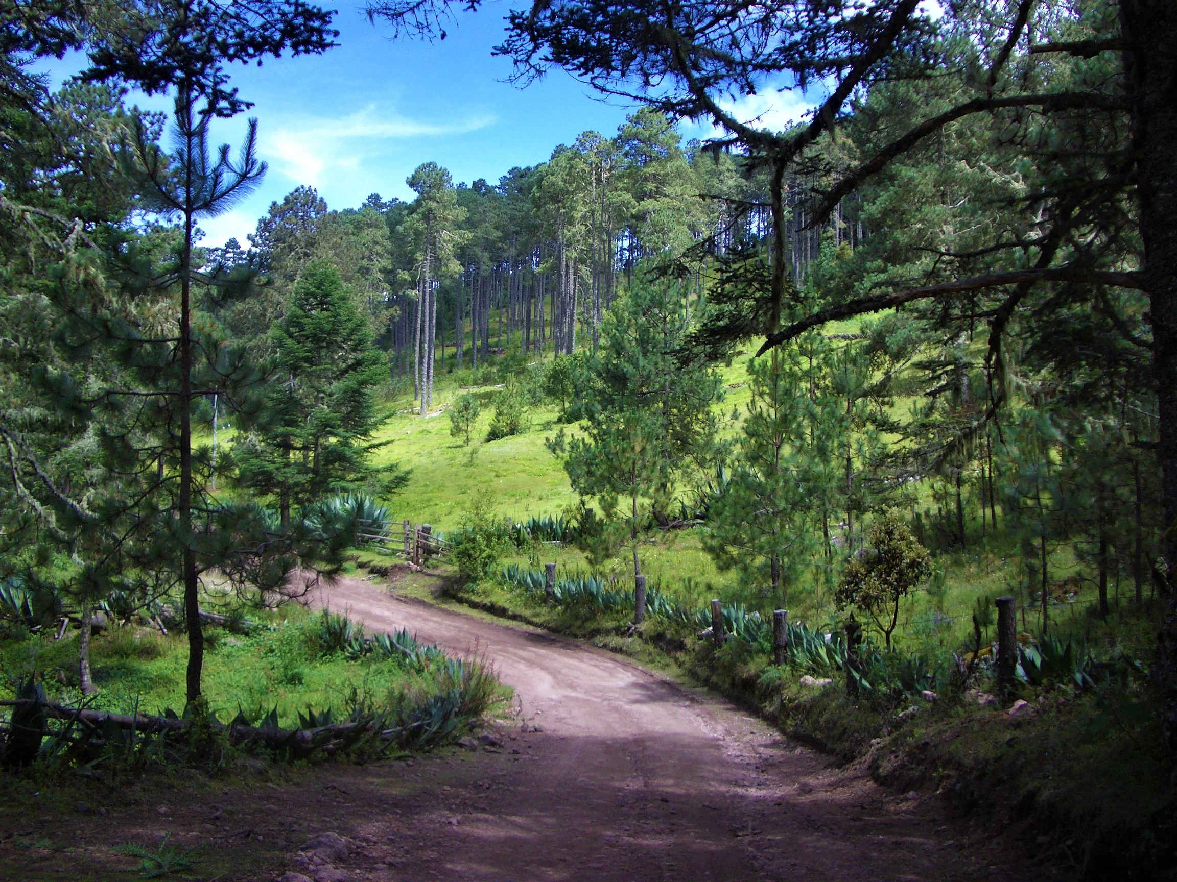 Oaxaca, Mexico, 2006