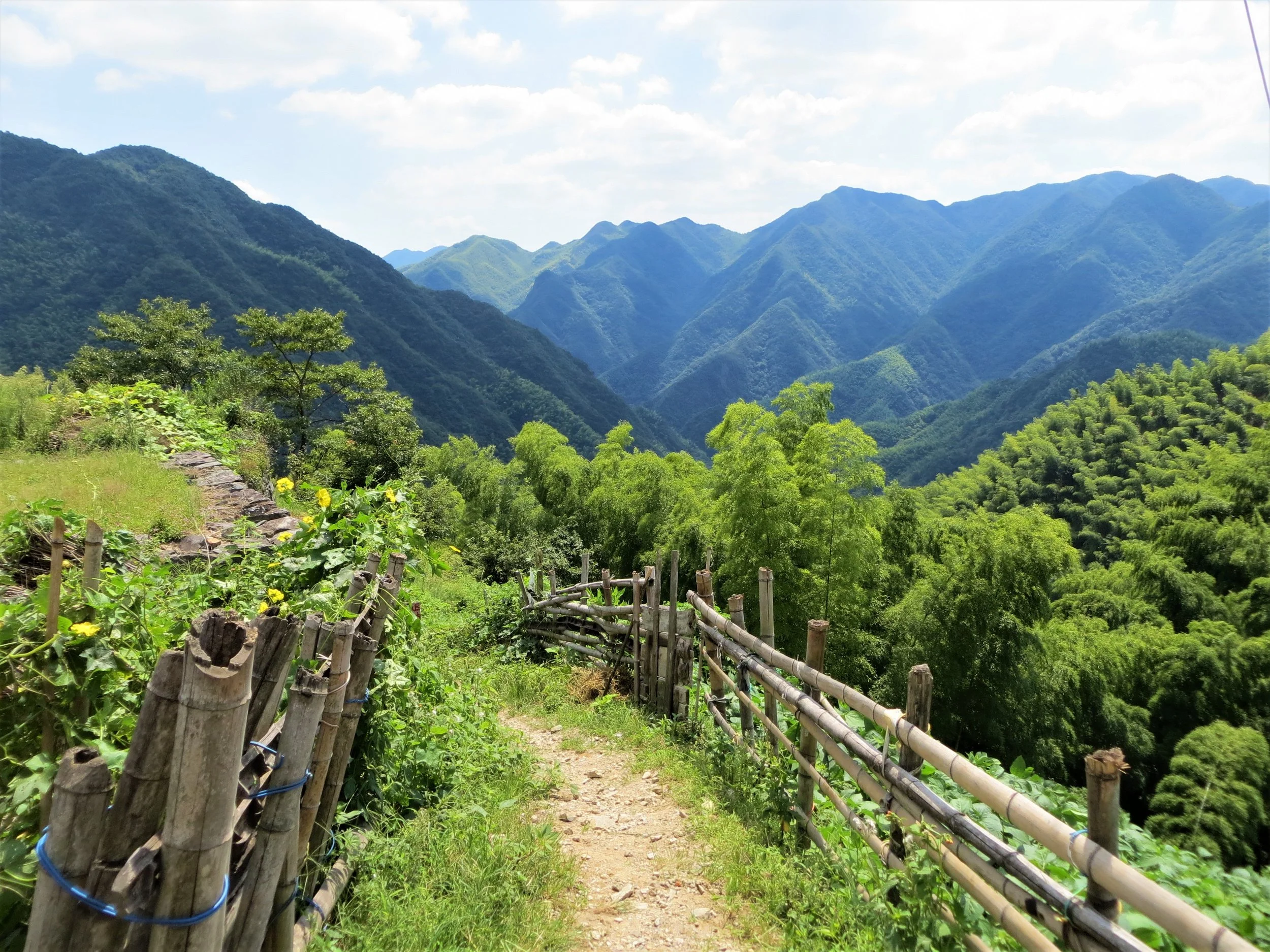 Zhejiang, China, 2014