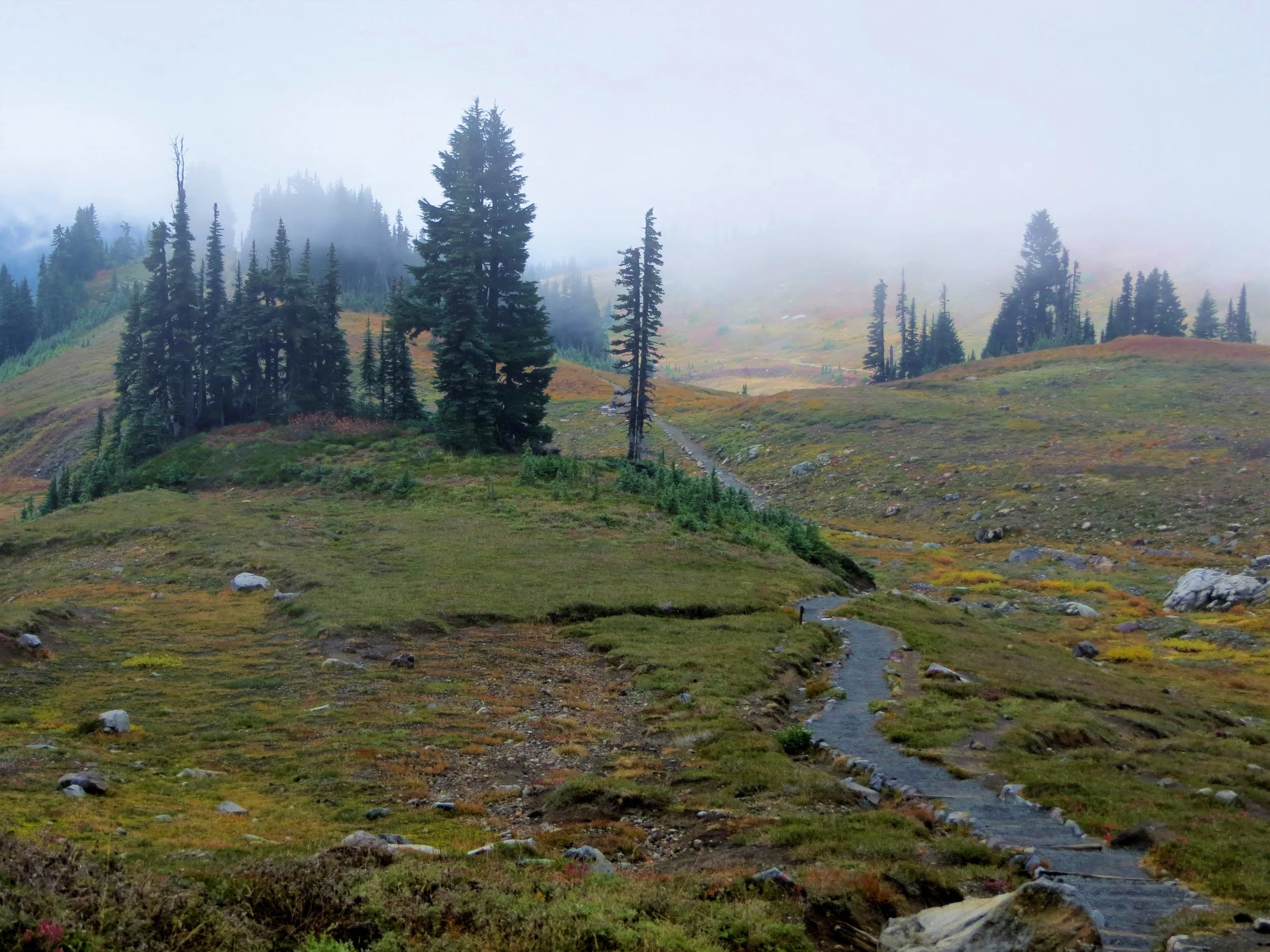 Mount Ranier, Washington, USA, 2015