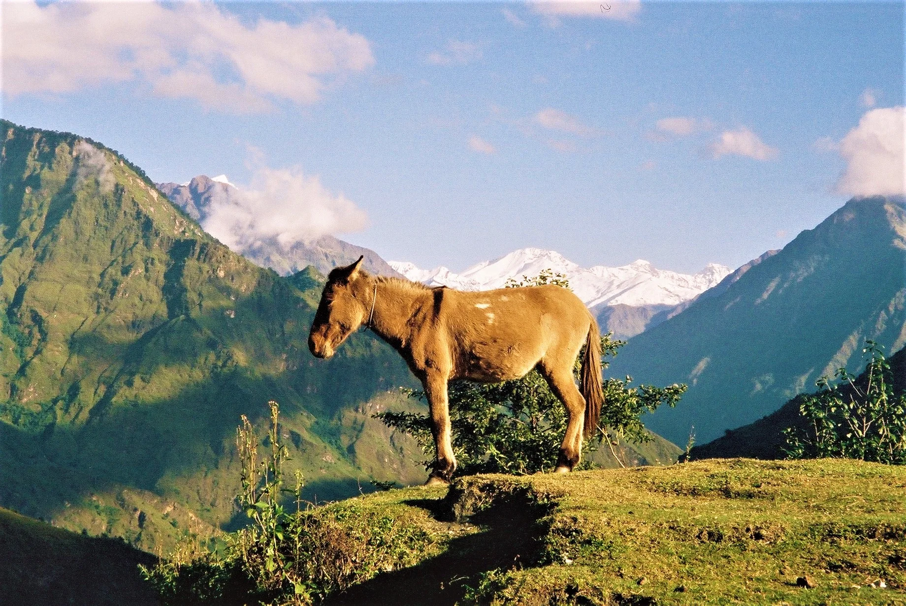 Annapurna Circuit, Nepal, 1996