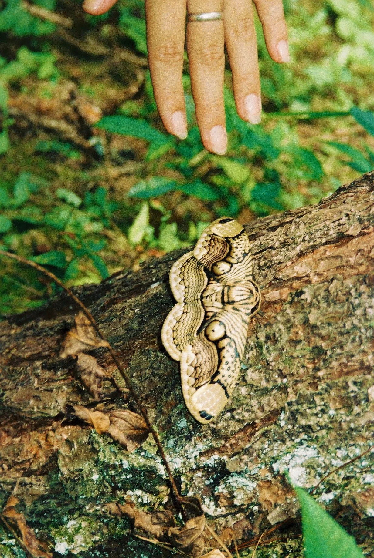 Zhangjiajie, Hunan, China, 1996
