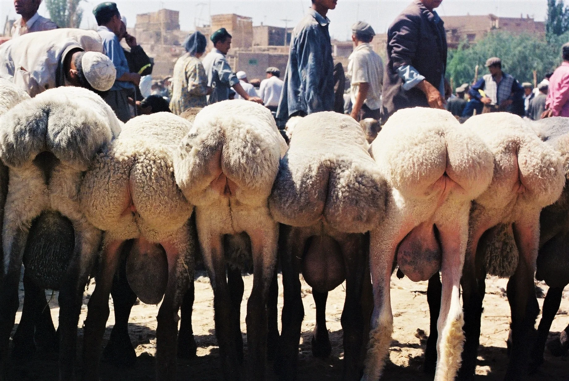 Kashgar, Xinjiang, China, 1999